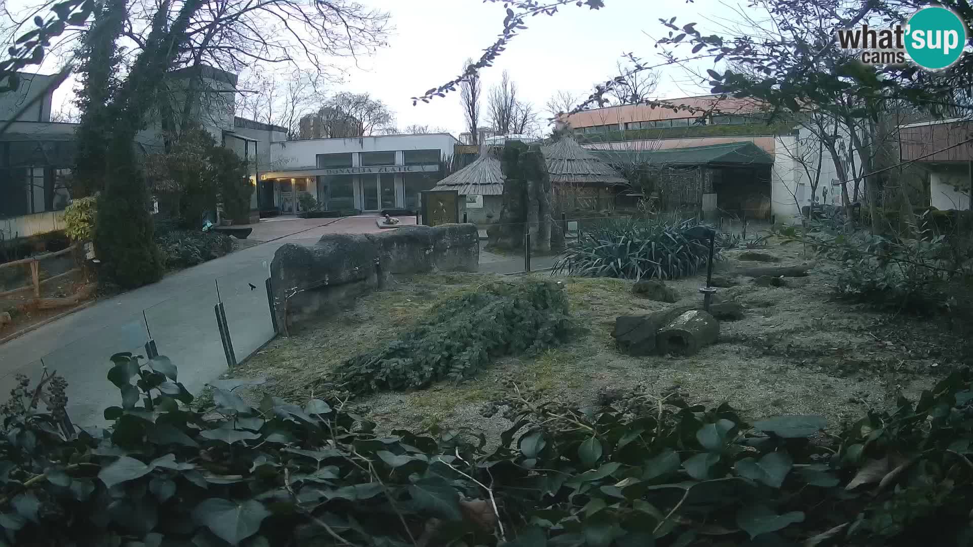 Zoo Zagreb – Erdmännchen