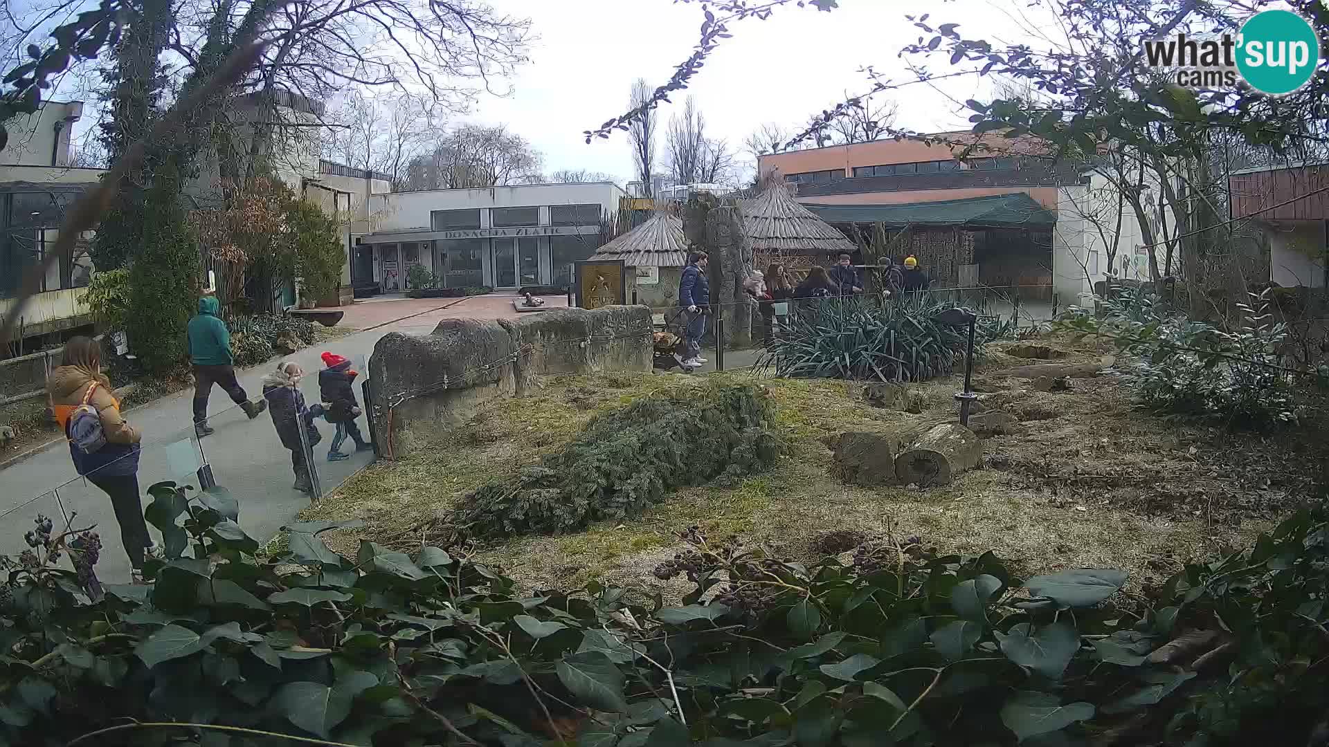 Zoo Zagreb – Surikate