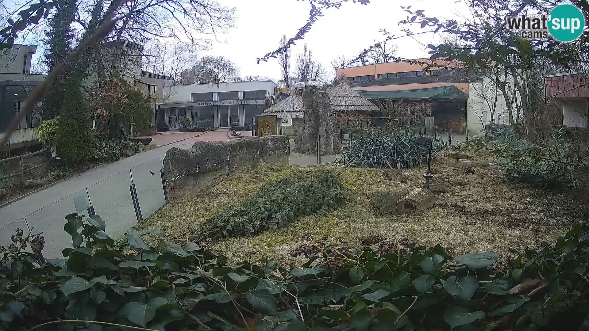 Zoo Zagreb – Erdmännchen