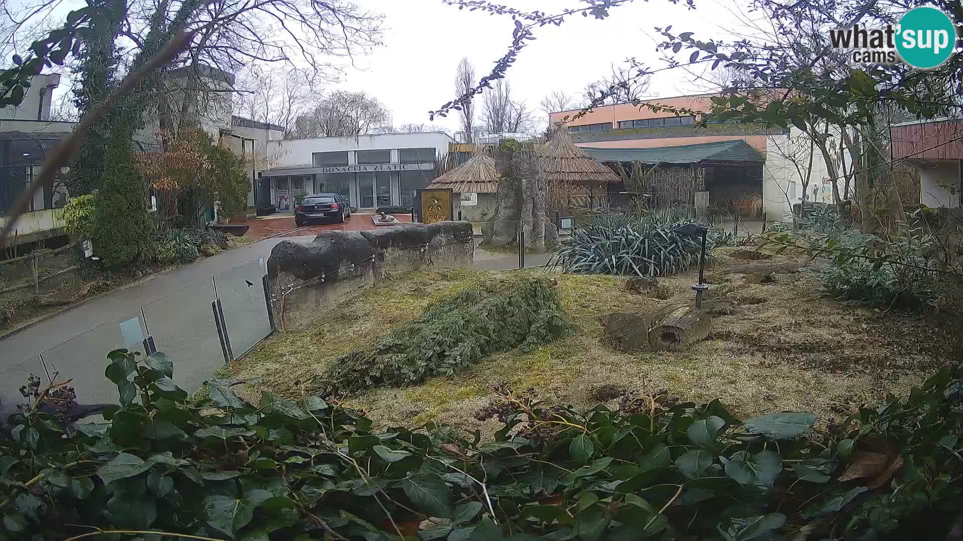 Zoo Zagreb – Erdmännchen