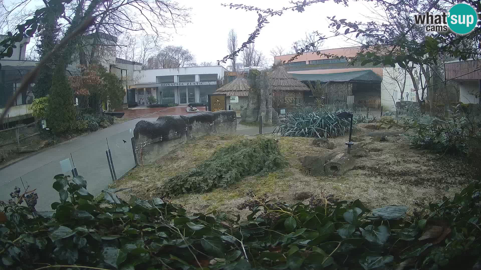 Zoo Zagreb – Erdmännchen