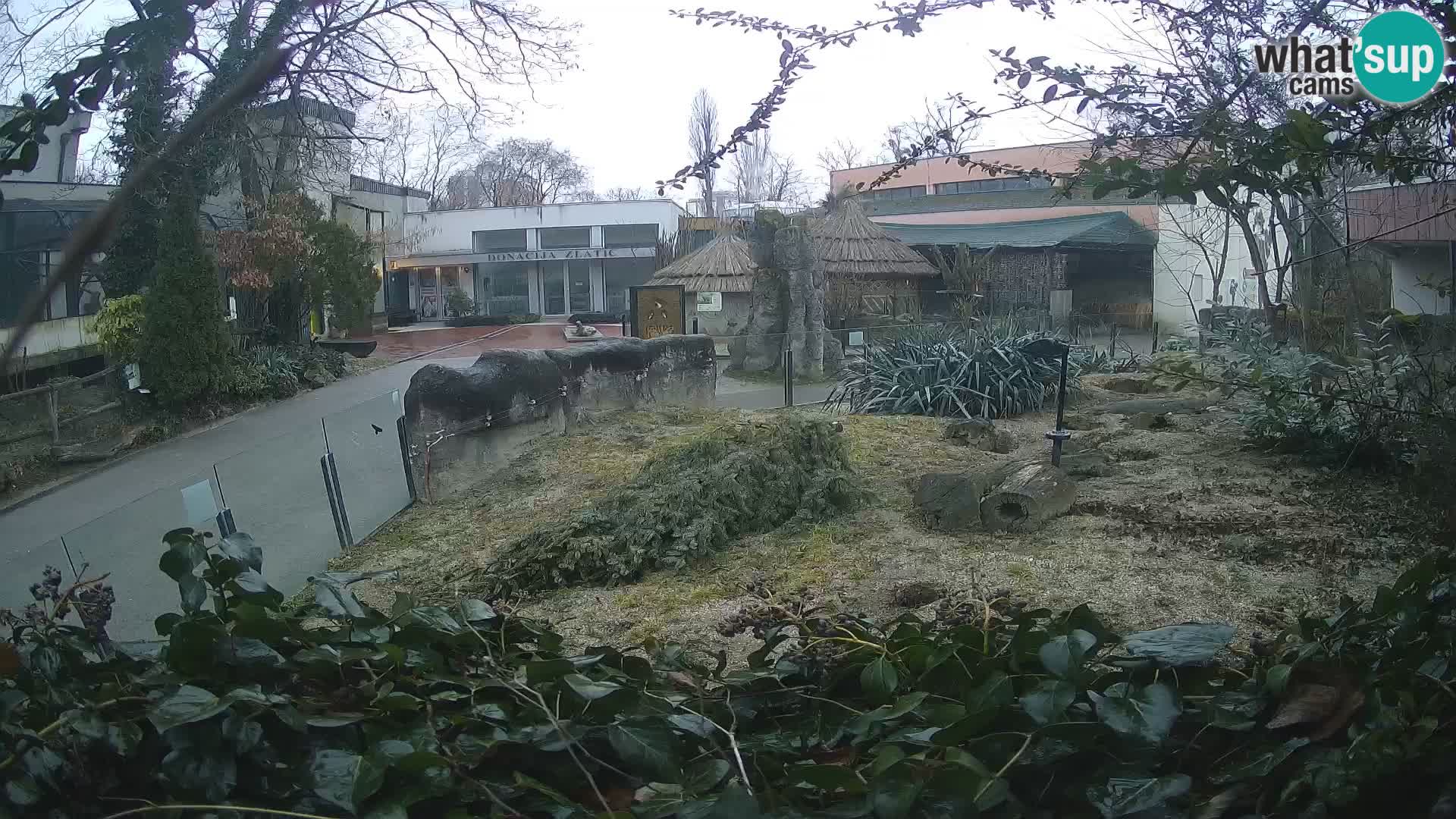 Zoo Zagreb – Erdmännchen