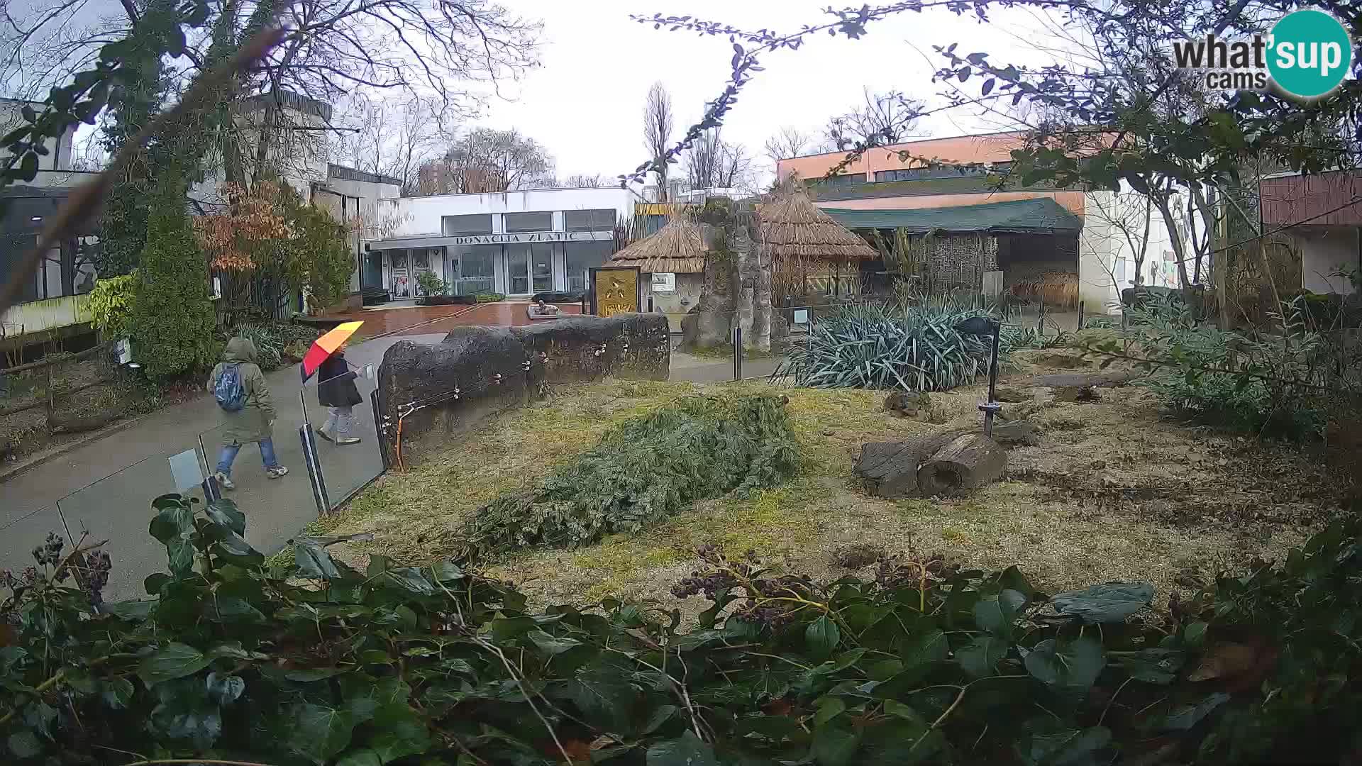 Zoo Zagreb – Erdmännchen