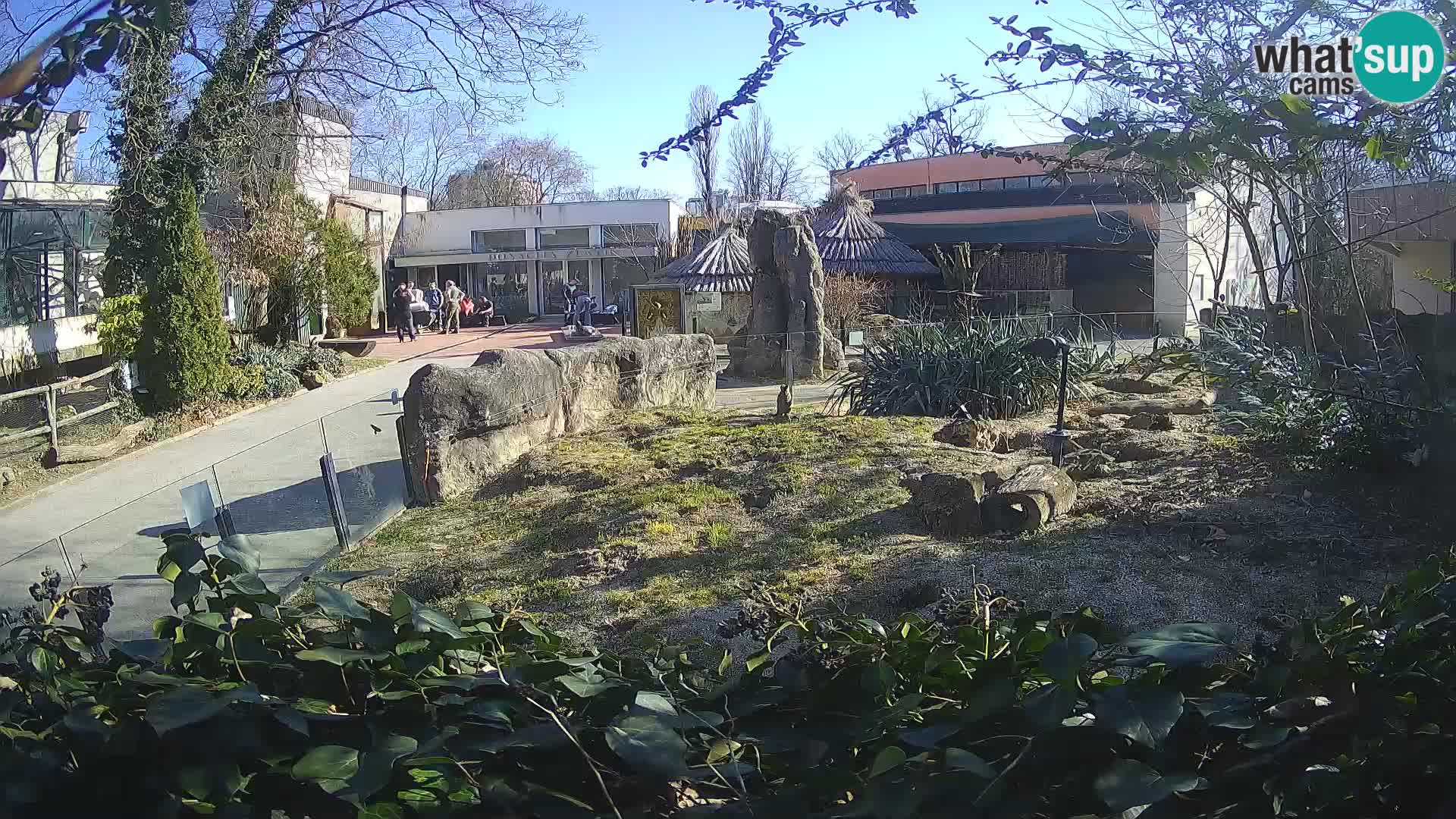 Zoo Zagreb – Erdmännchen