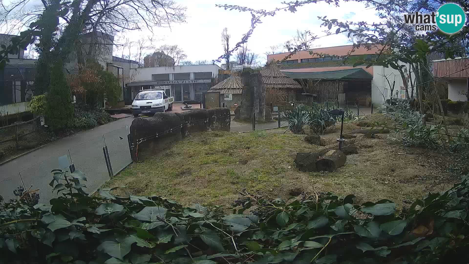 Zoo Zagreb – Erdmännchen