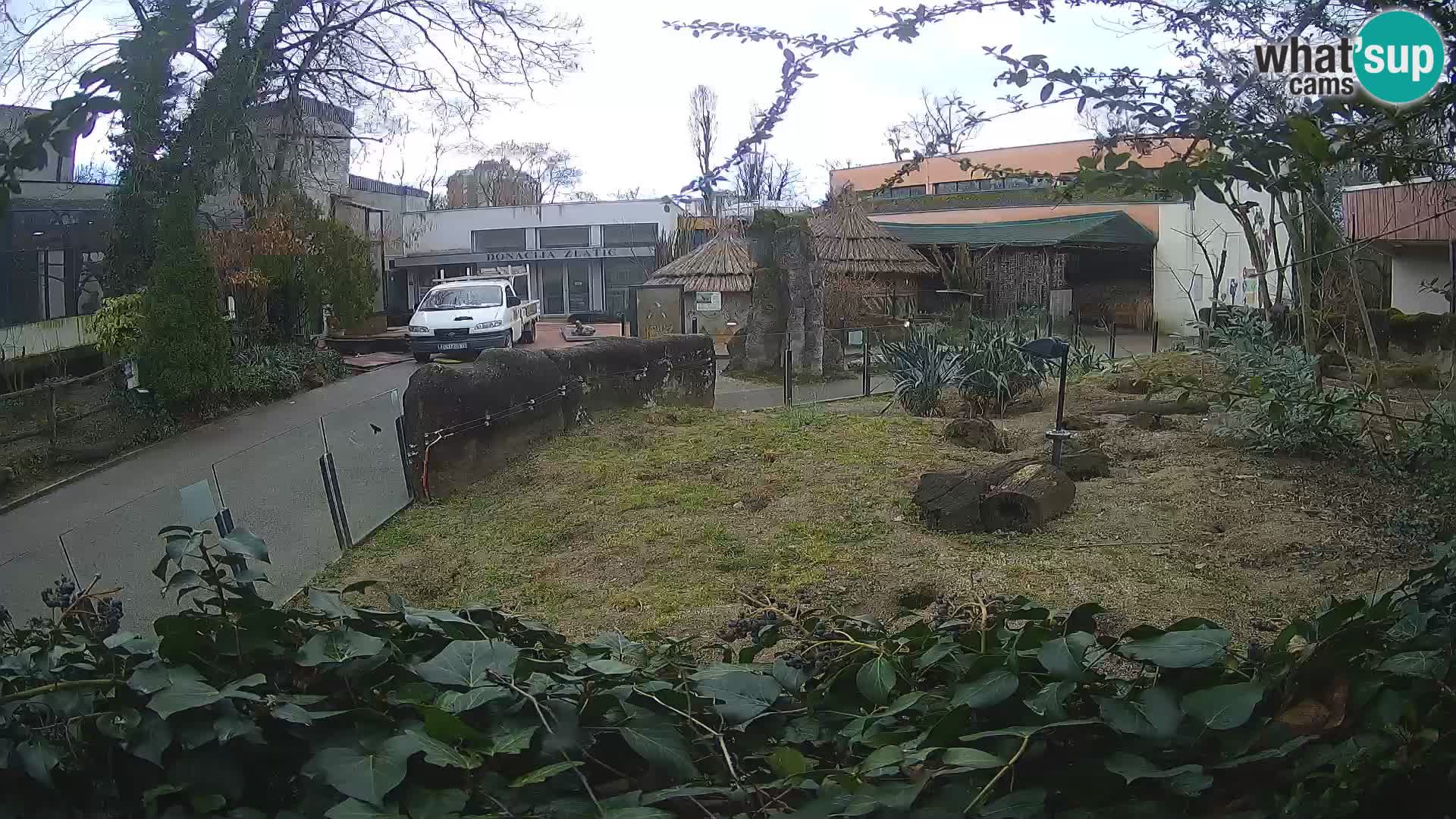 Zoo Zagreb – Erdmännchen