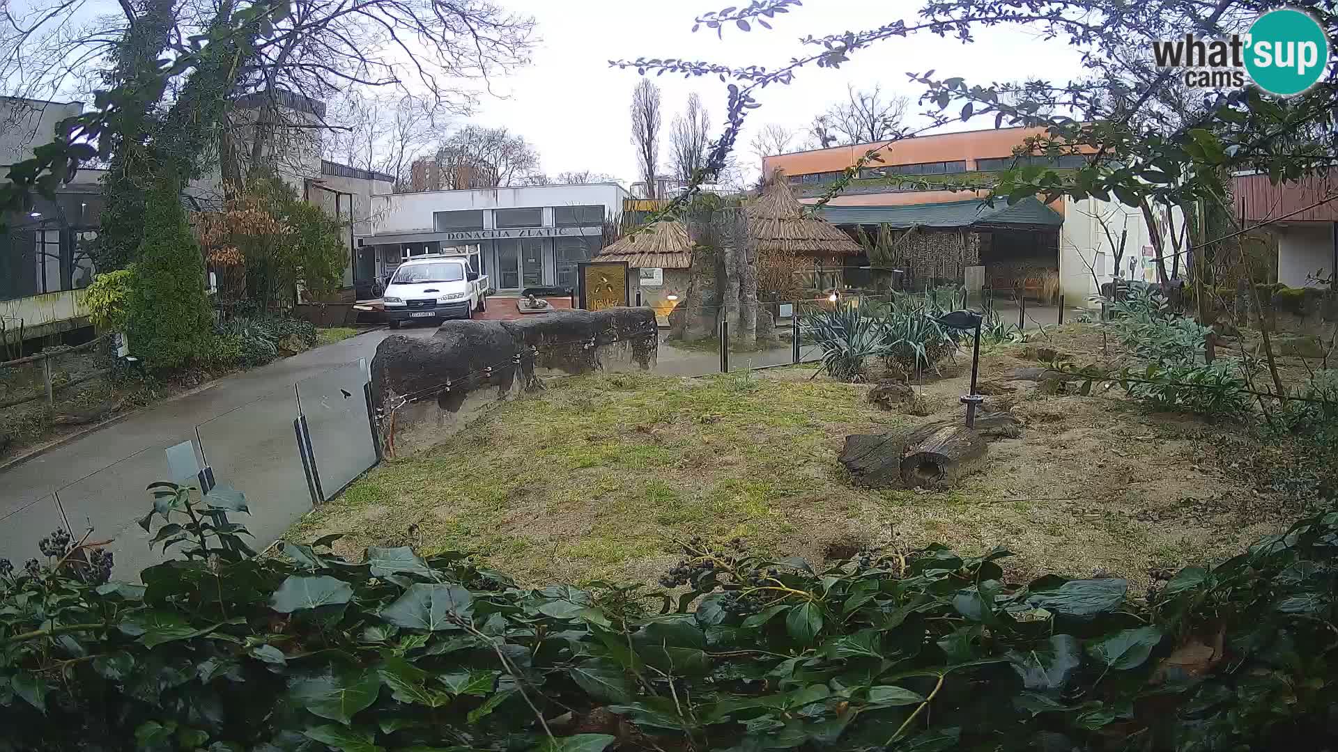 Zoo Zagreb – Erdmännchen