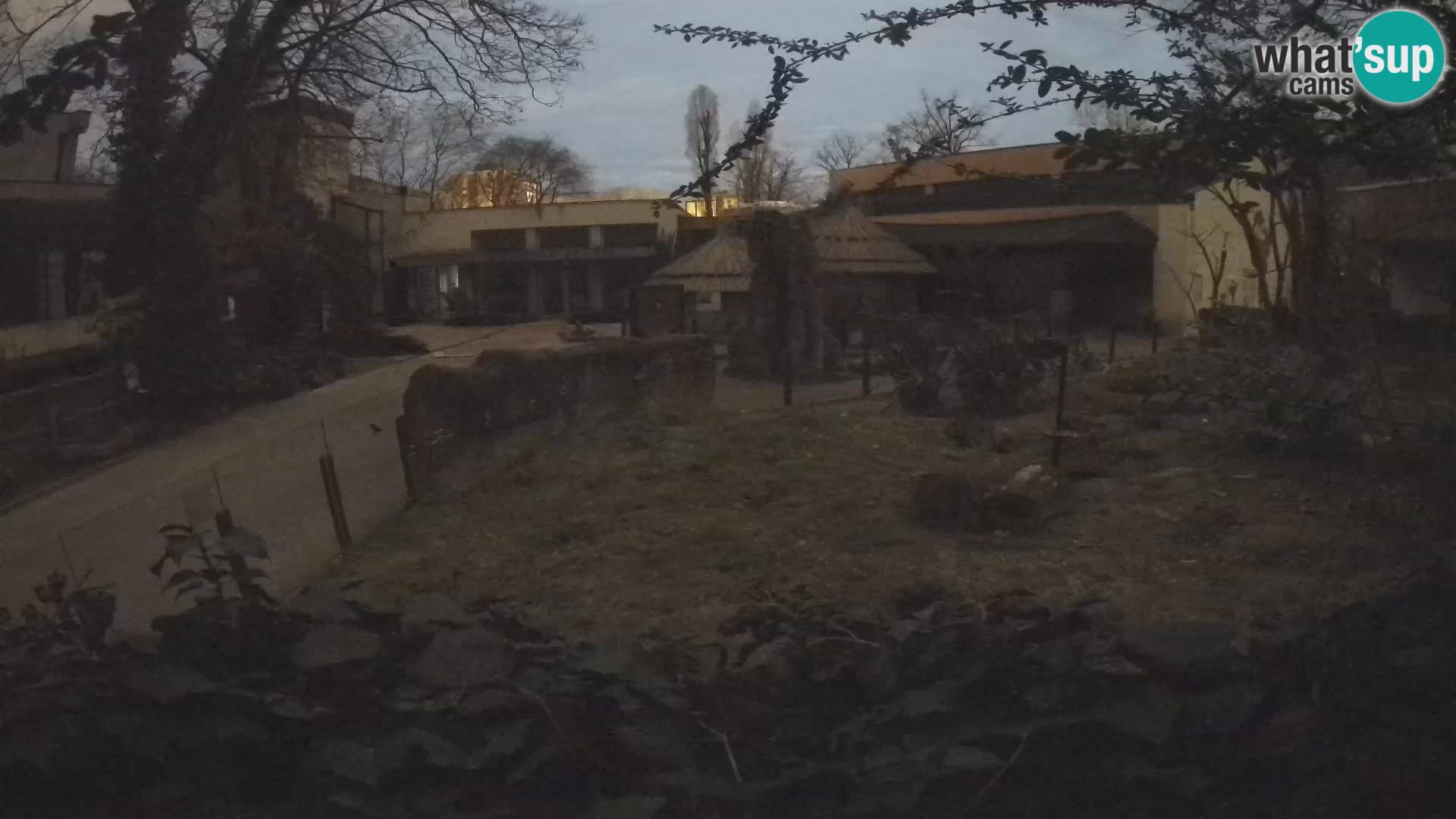 Zoo Zagreb – Erdmännchen