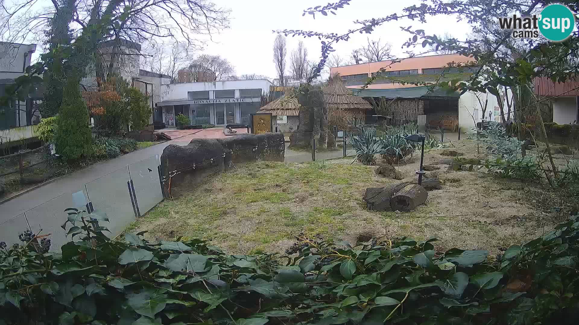 Zoo Zagreb – Erdmännchen