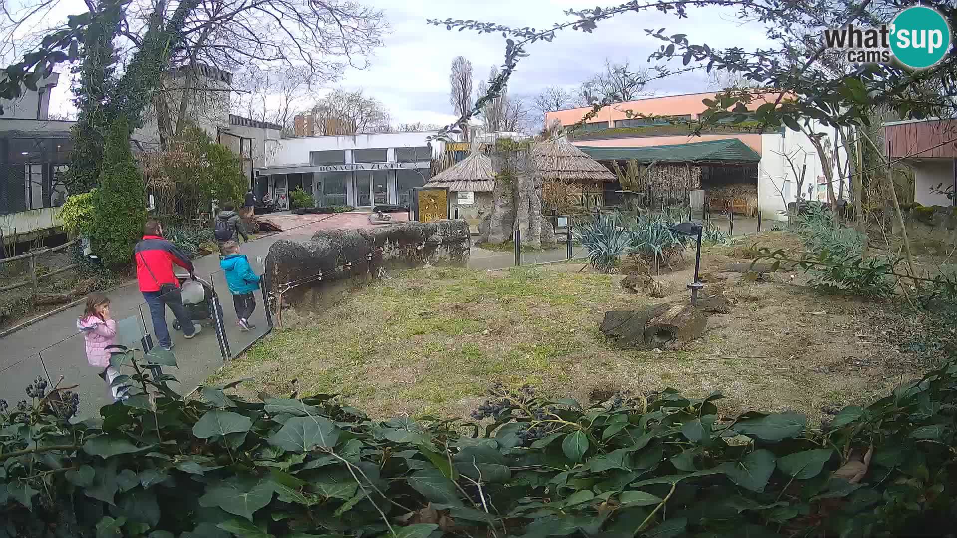 Zoo Zagreb – Merkat