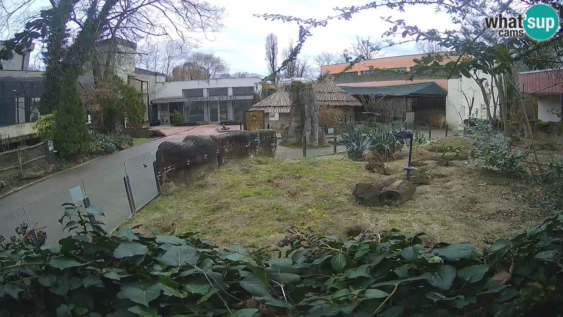 Zoo Zagreb – Erdmännchen