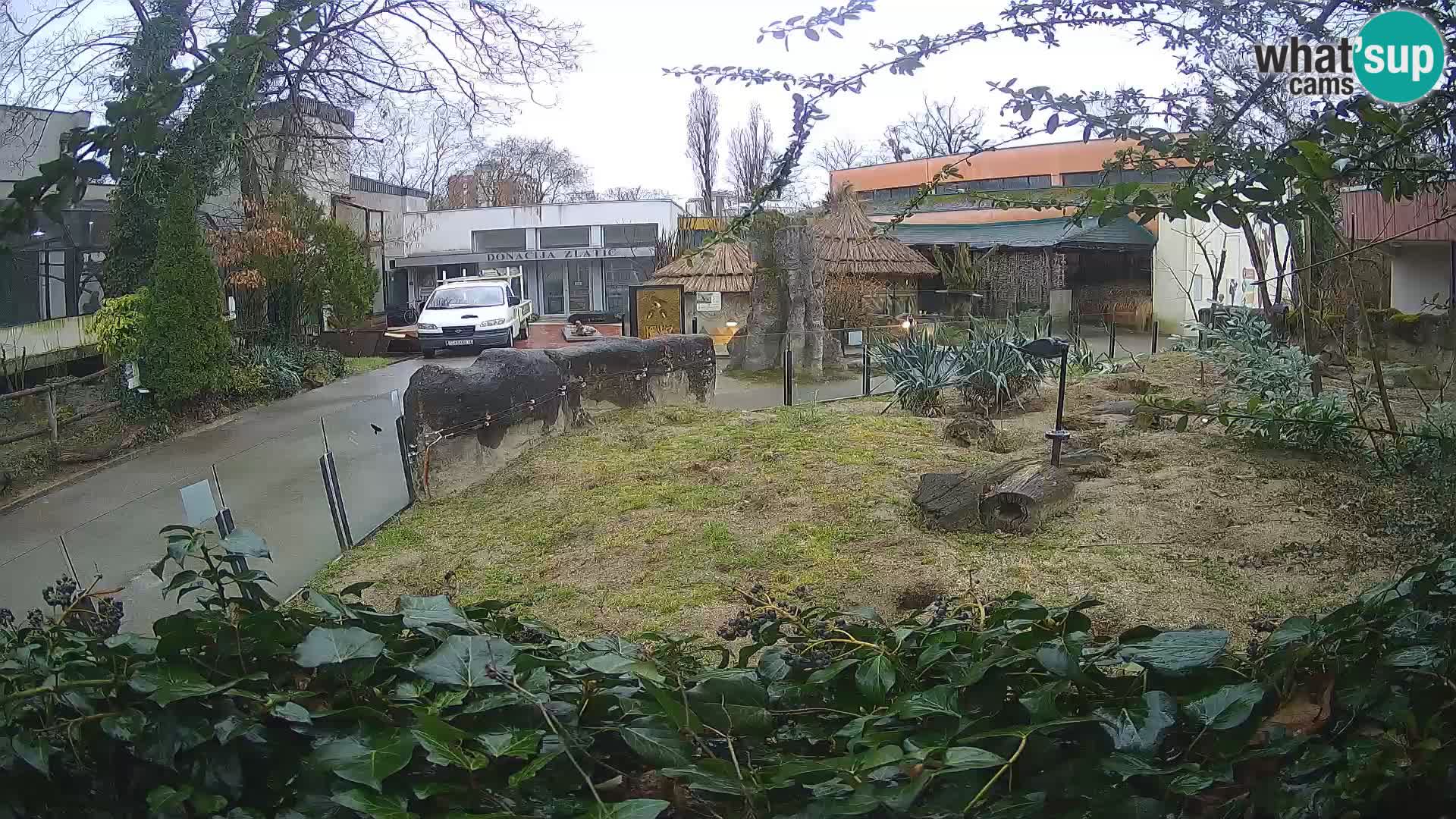 Zoo Zagreb – Erdmännchen