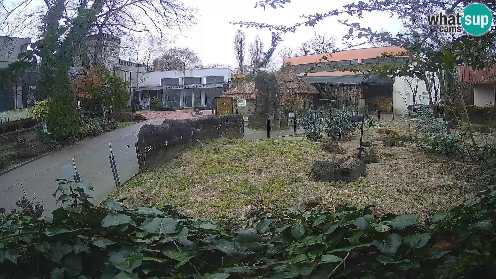 Zoo Zagreb – Erdmännchen