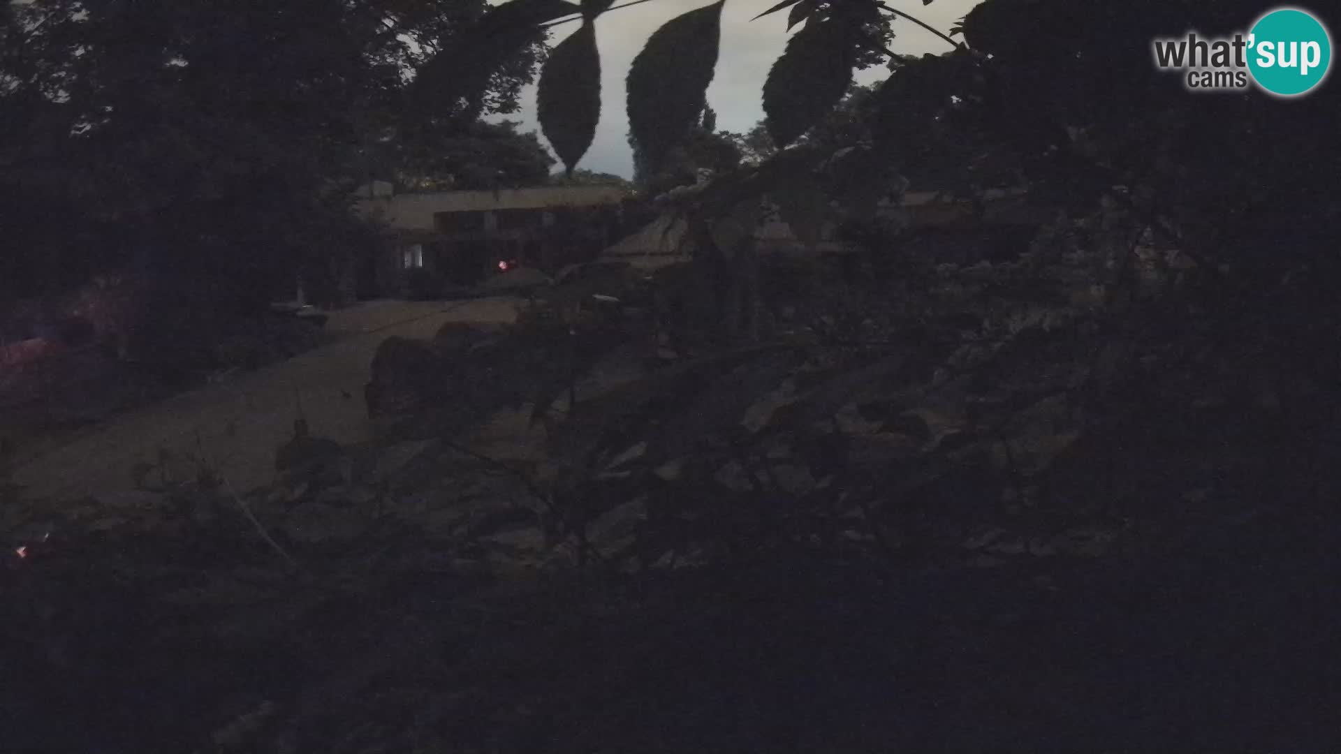 Zoo Zagreb – Surikate