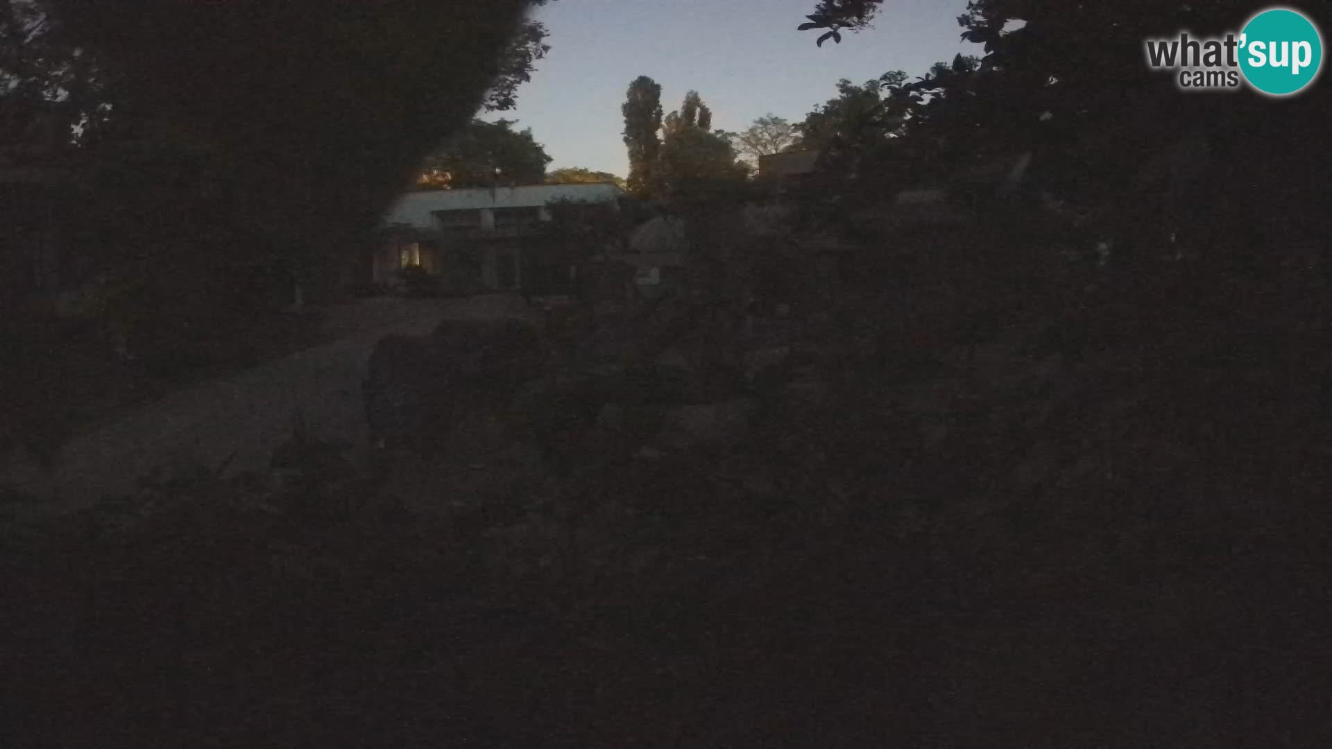 Zoo Zagreb – Erdmännchen