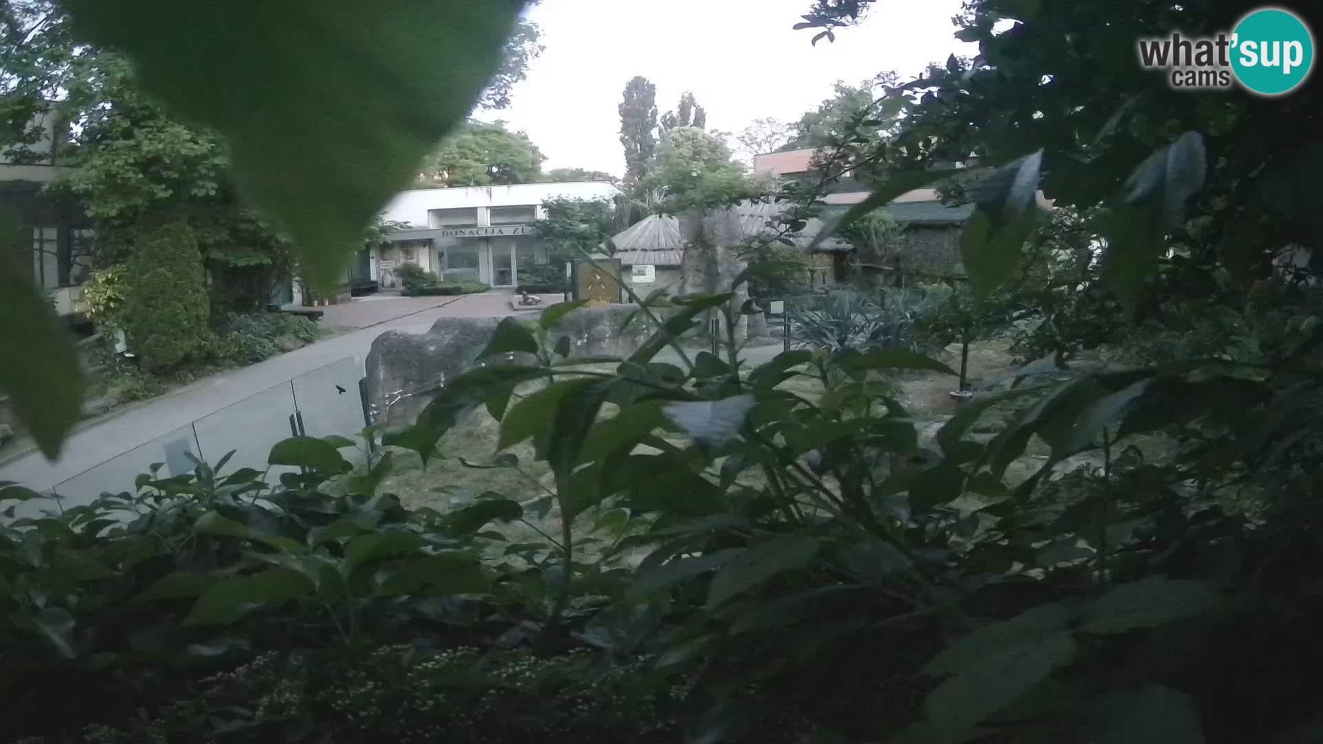 Zoo Zagreb – Erdmännchen