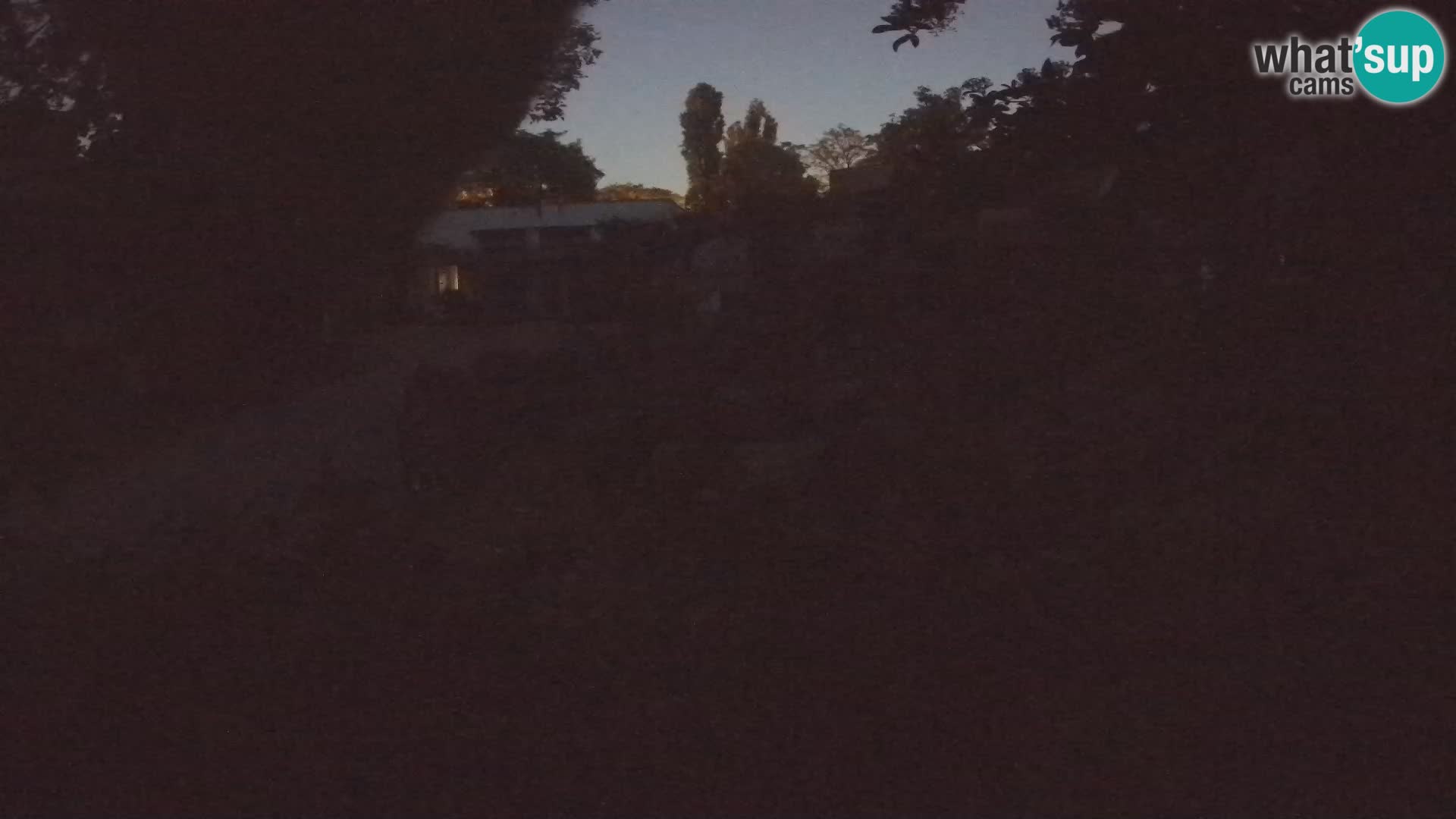 Zoo Zagreb – Merkat