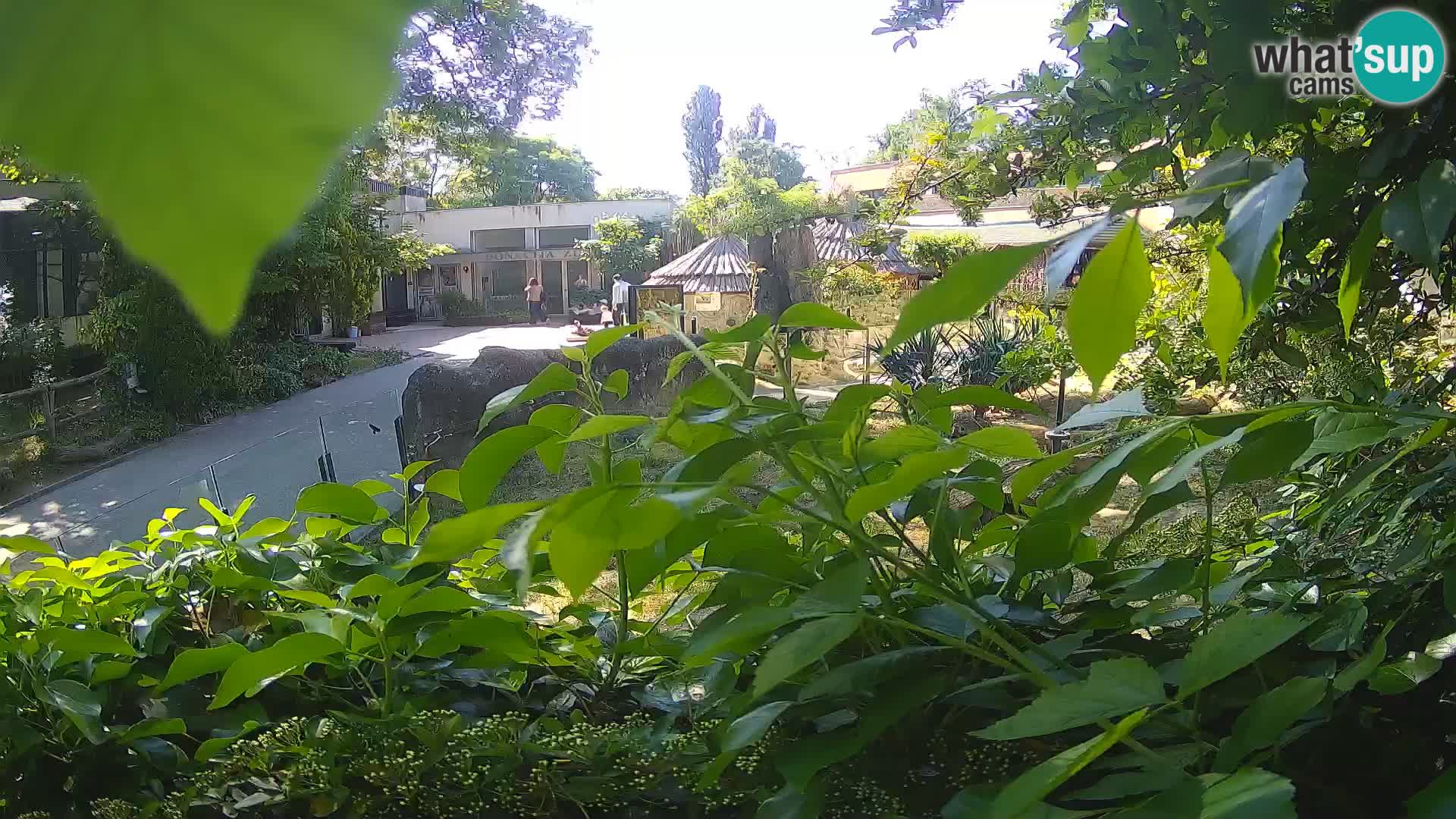 Zoo Zagreb – Erdmännchen