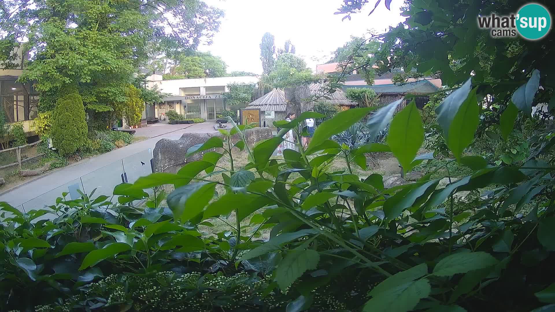 Zoo Zagreb – Erdmännchen