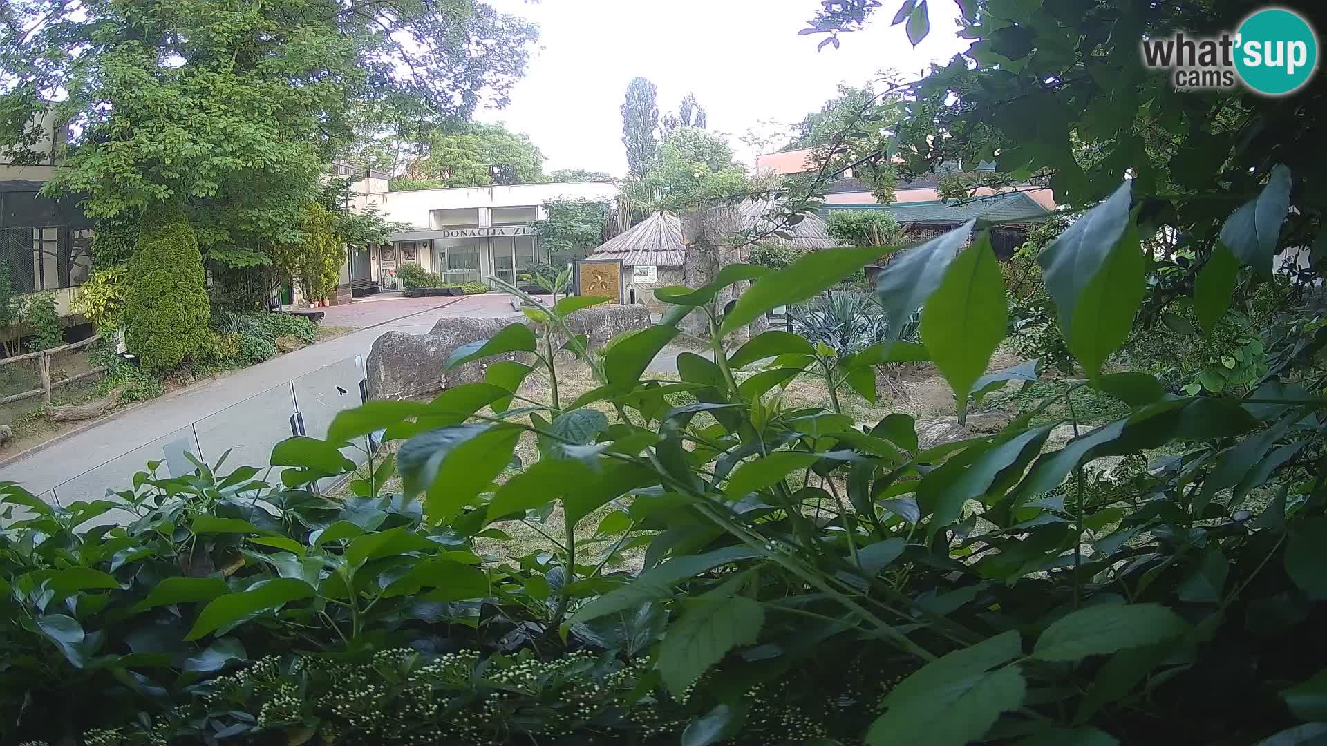 Zoo Zagreb – Erdmännchen