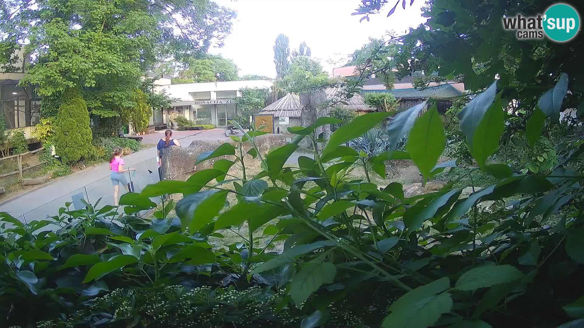 Zoo Zagreb – Erdmännchen