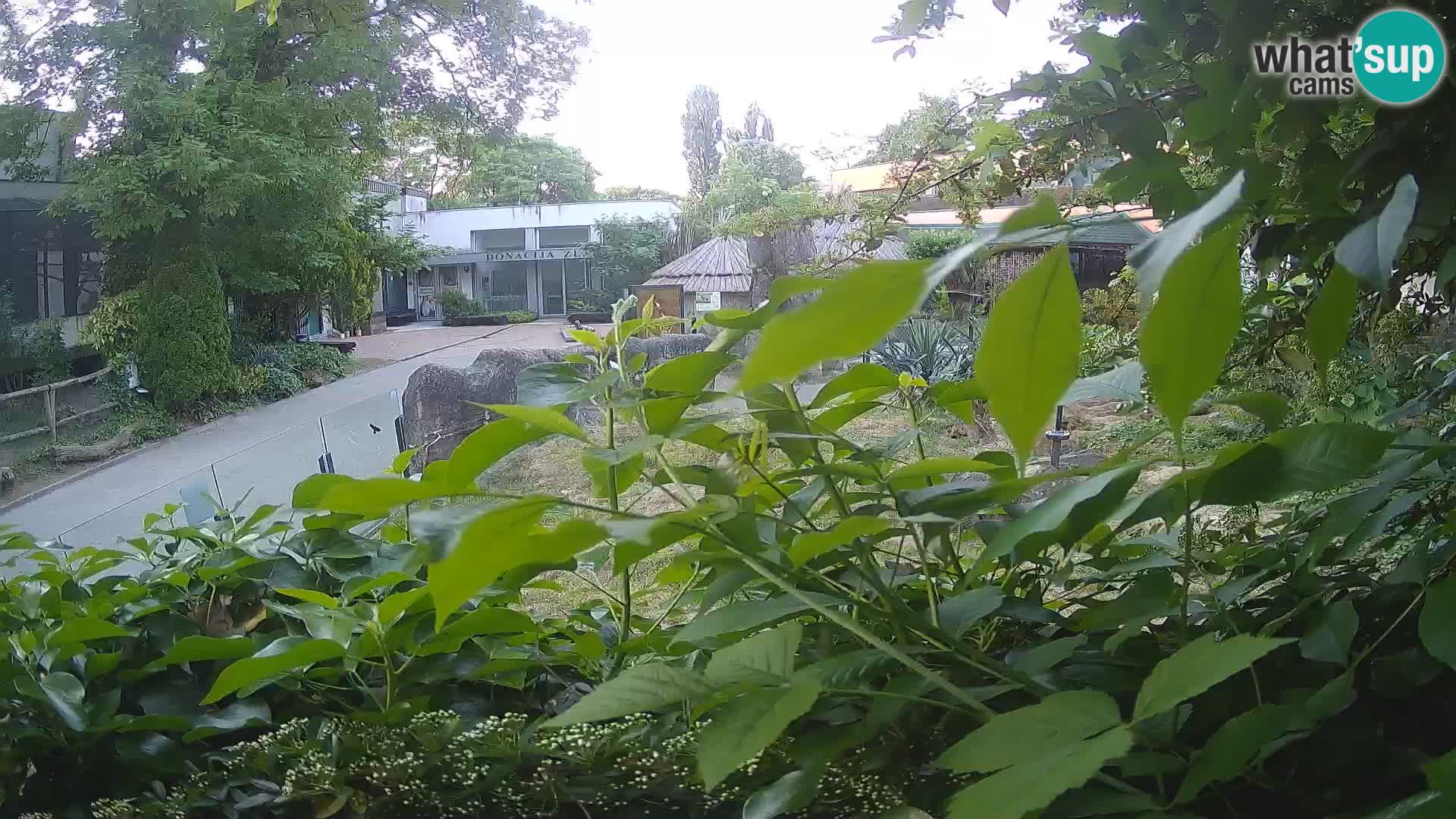 Zoo Zagreb – Erdmännchen