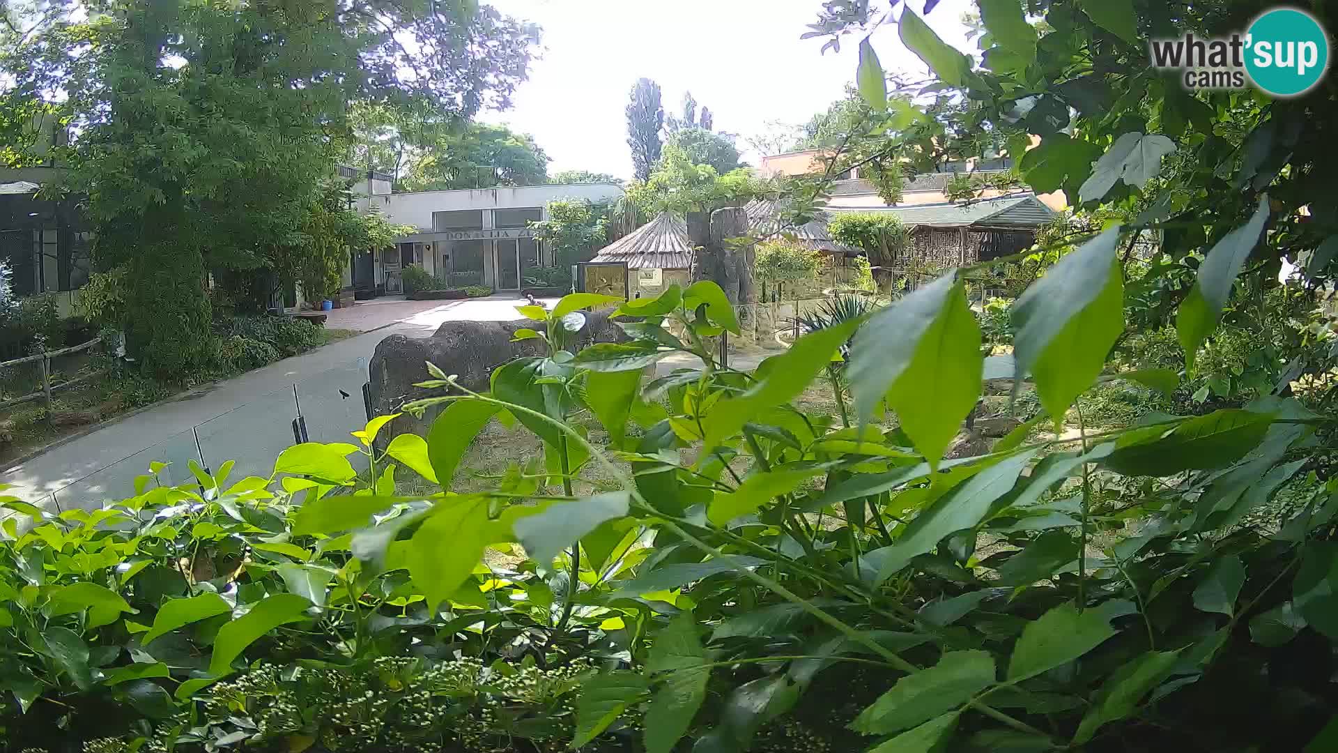 Zoo Zagreb – Erdmännchen