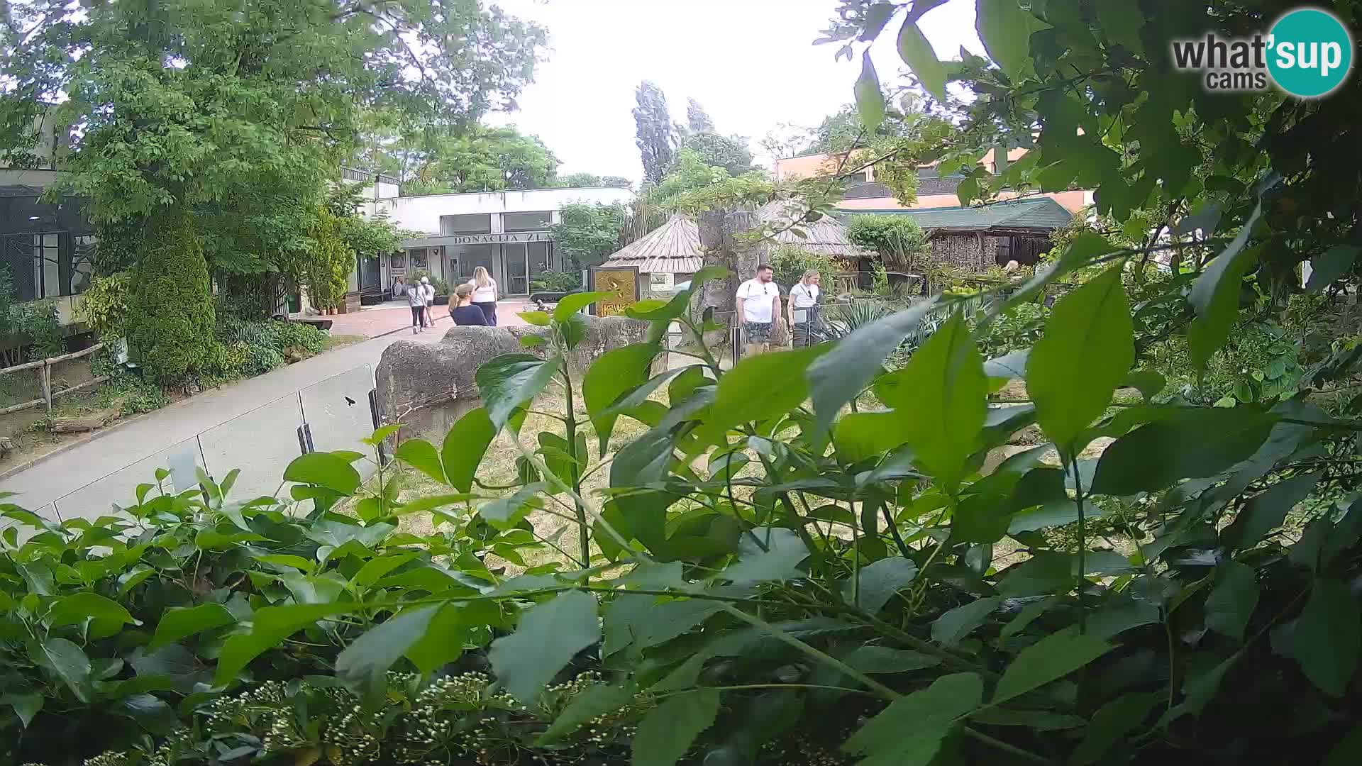 Zoo Zagreb – Erdmännchen