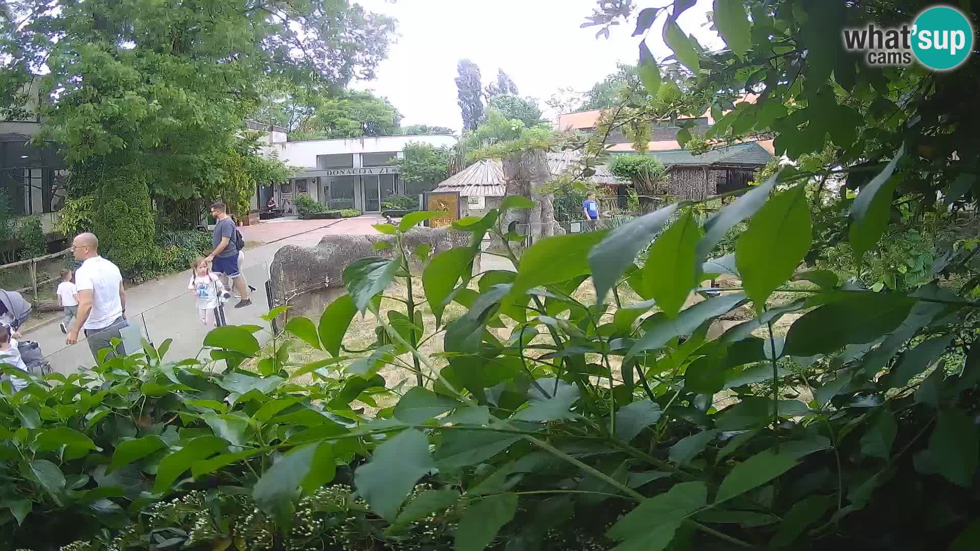 Zoo Zagreb – Erdmännchen