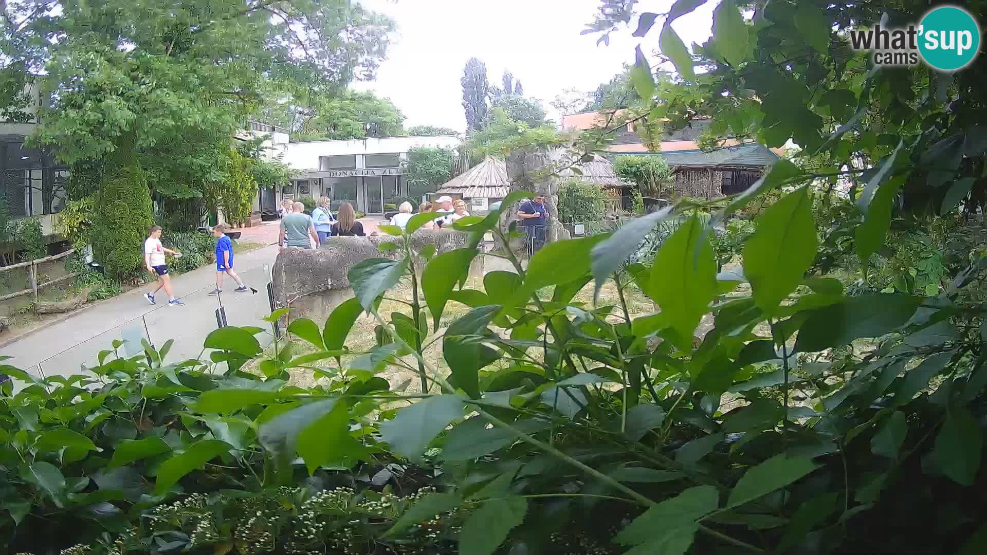 Zoo Zagreb – Erdmännchen