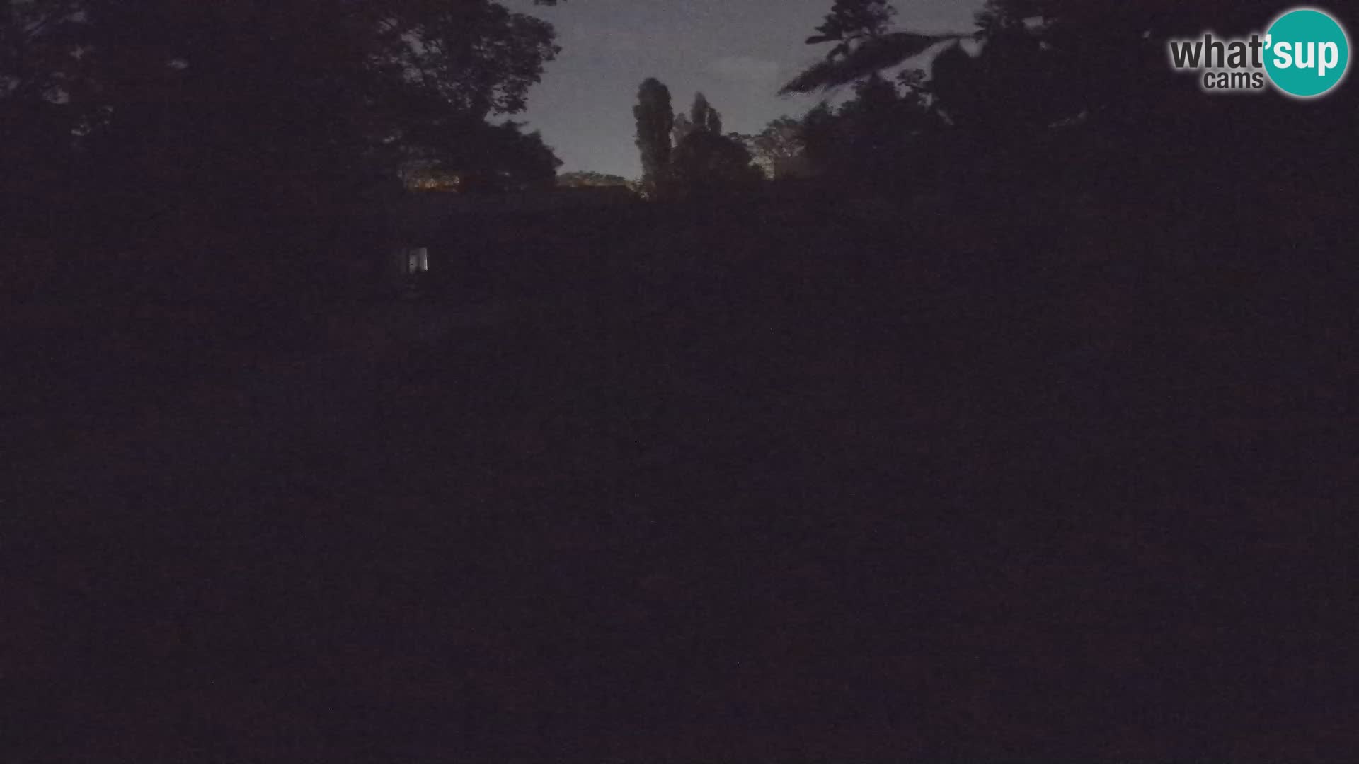 Zoo Zagreb – Erdmännchen