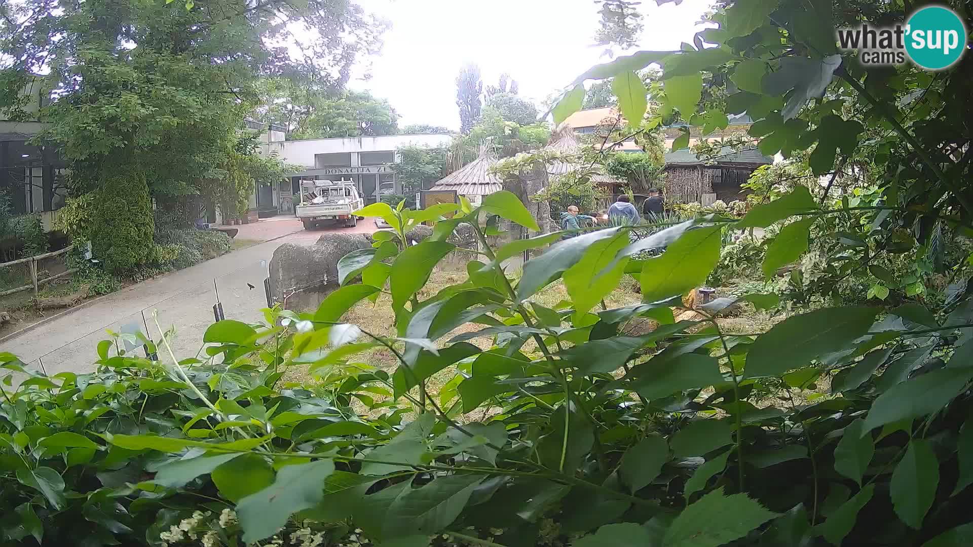 Zoo Zagreb – Erdmännchen