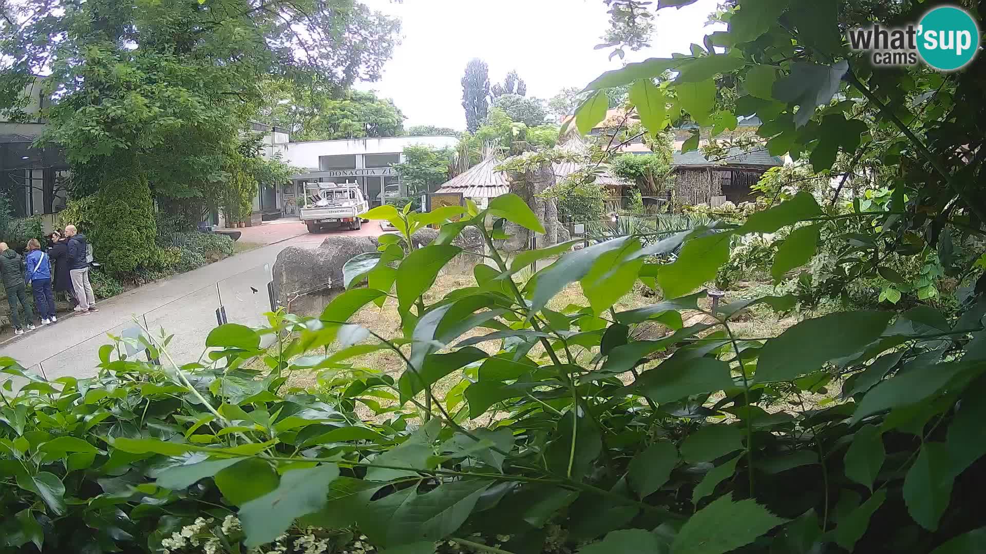 Zoo Zagreb – Erdmännchen