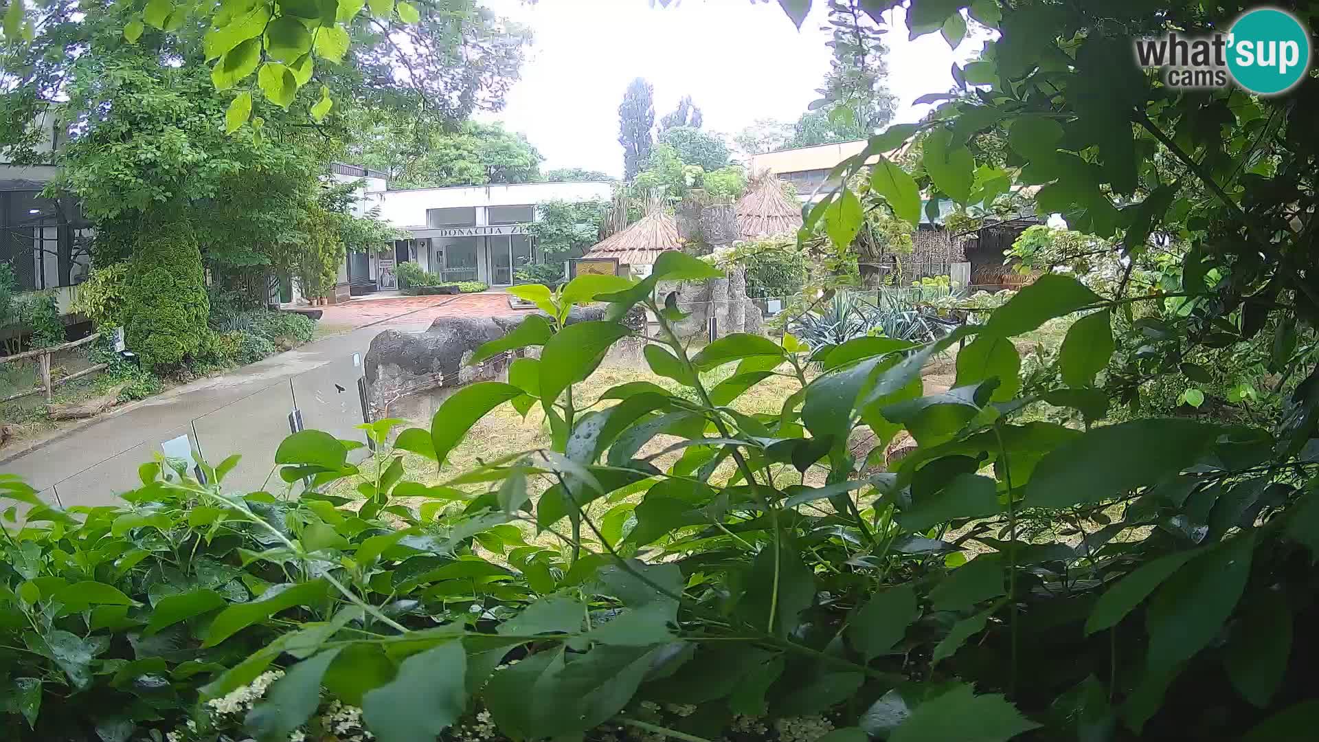 Zoo Zagreb – Surikate