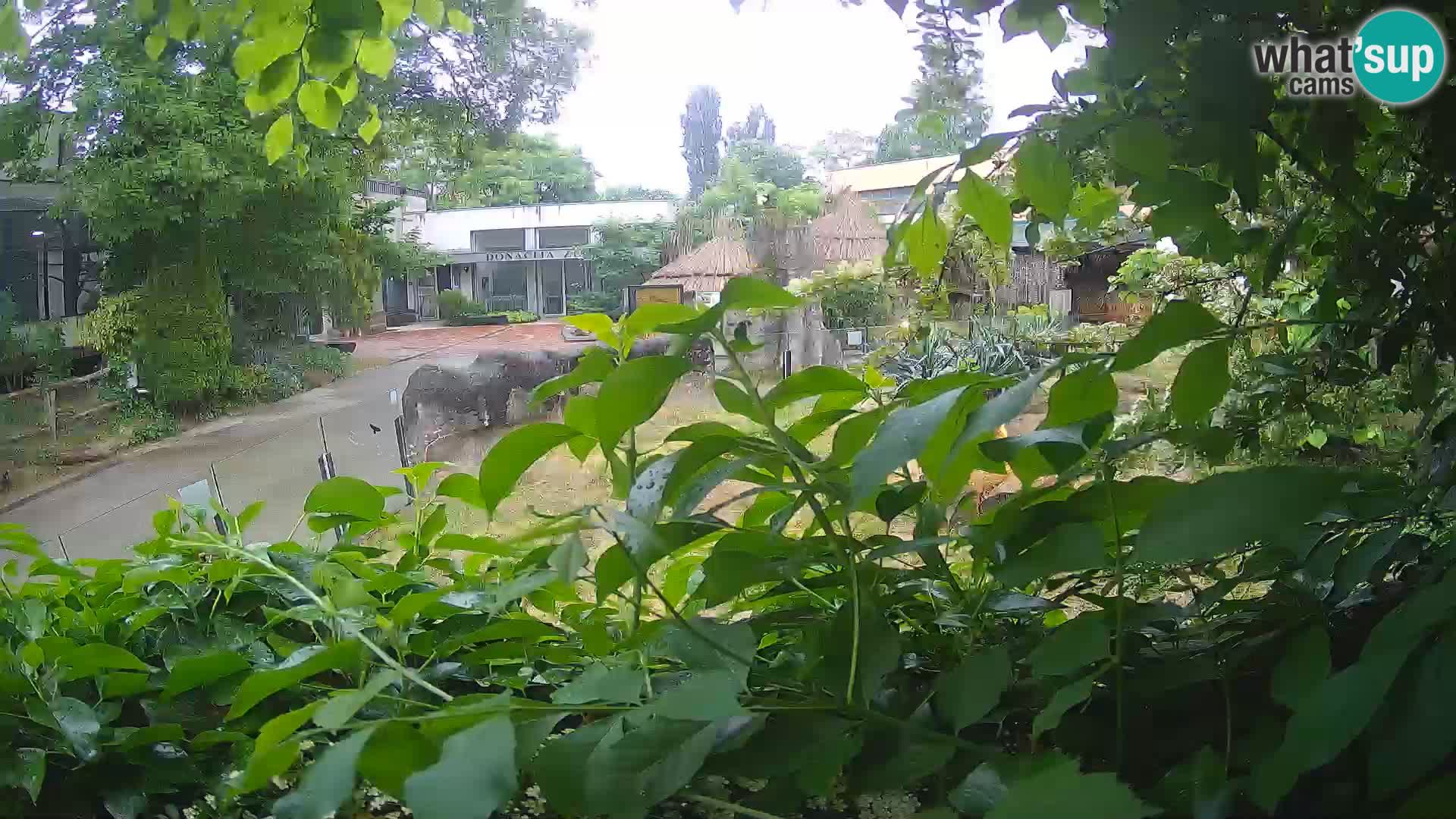 Zoo Zagreb – Erdmännchen