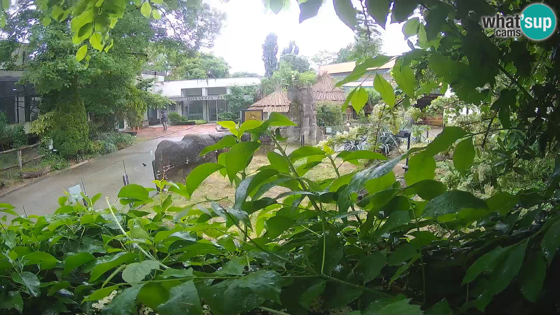 Zoo Zagreb – Surikate