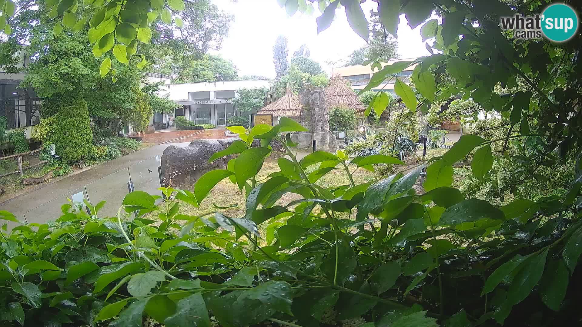 Zoo Zagreb – Erdmännchen