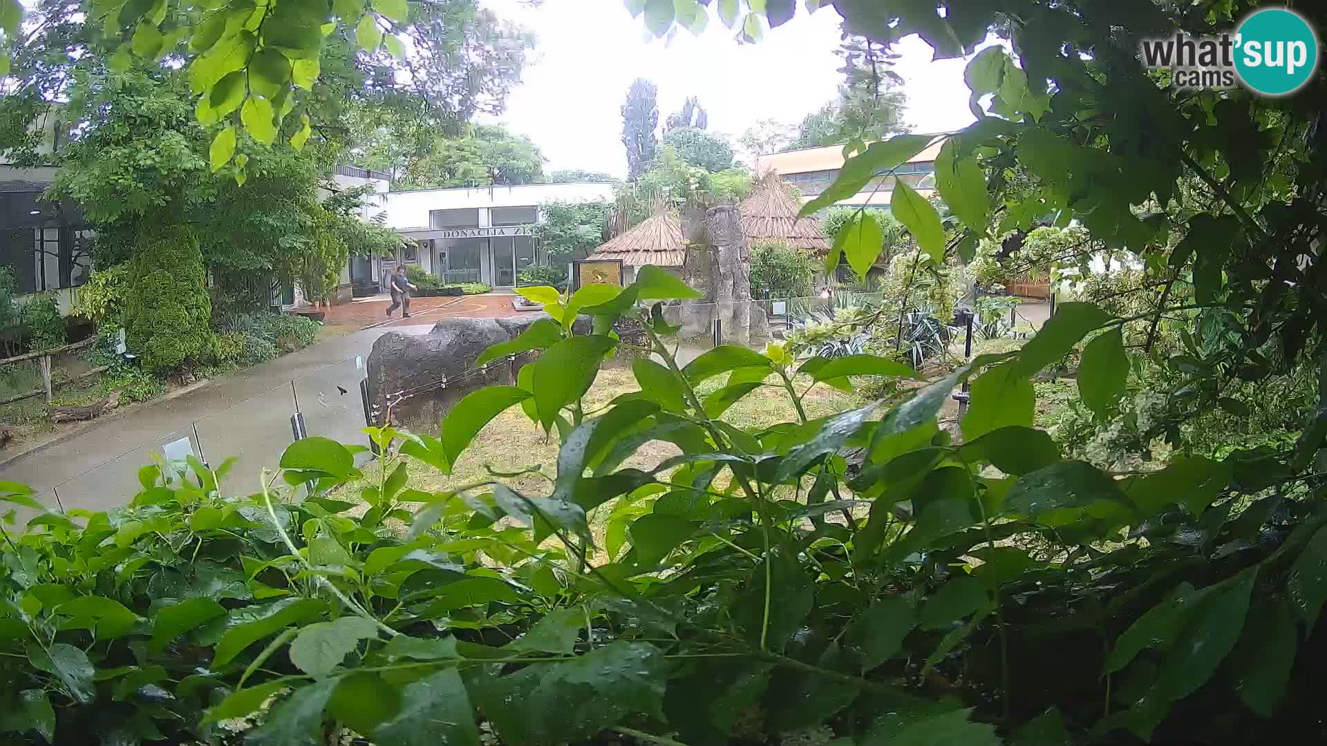 Zoo Zagreb – Surikate