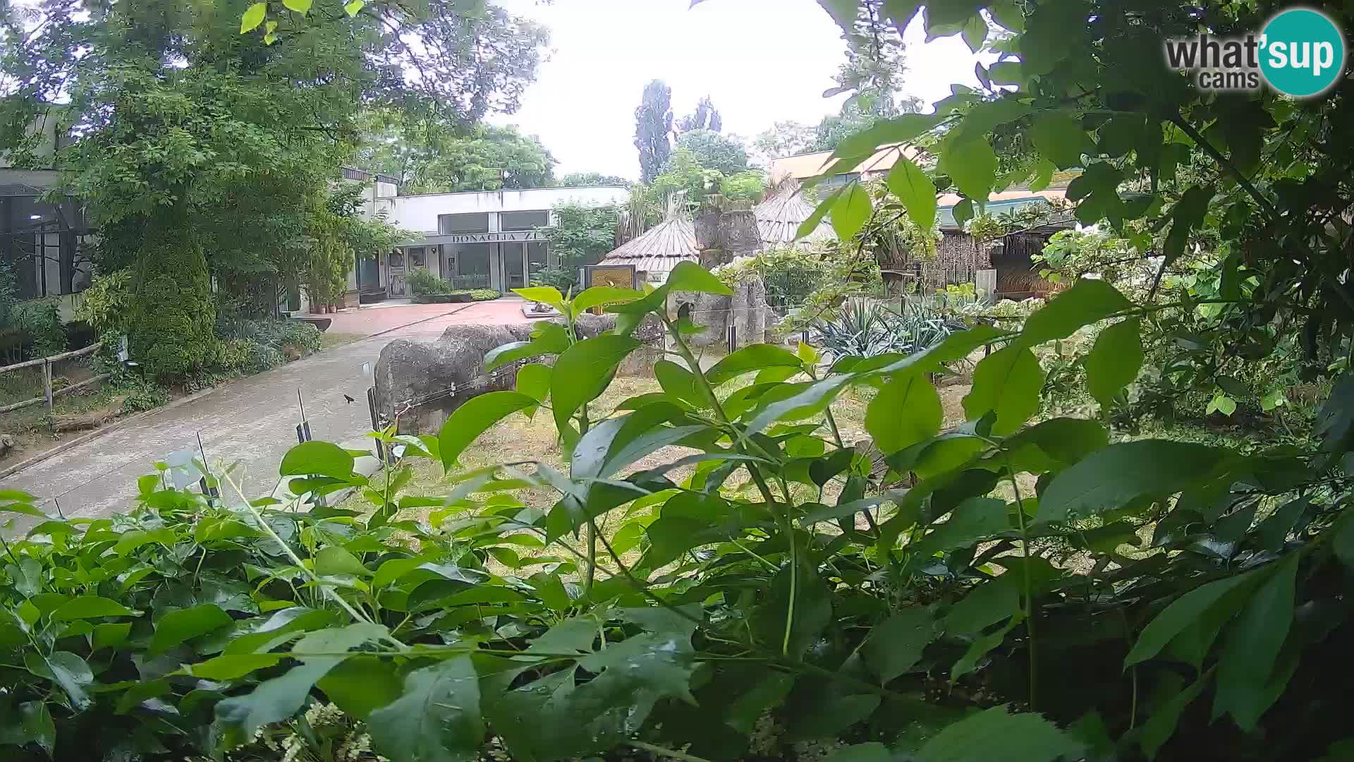 Zoo Zagreb – Erdmännchen