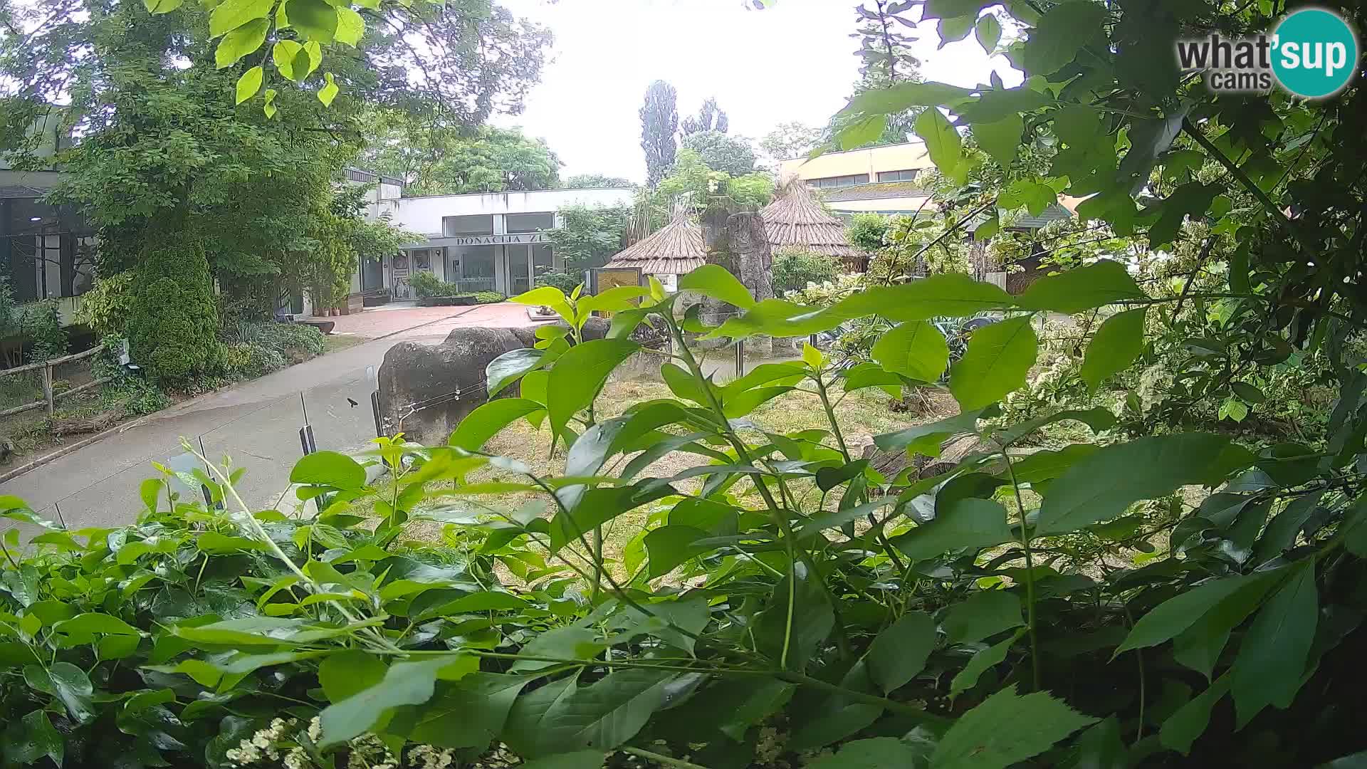 Zoo Zagreb – Erdmännchen