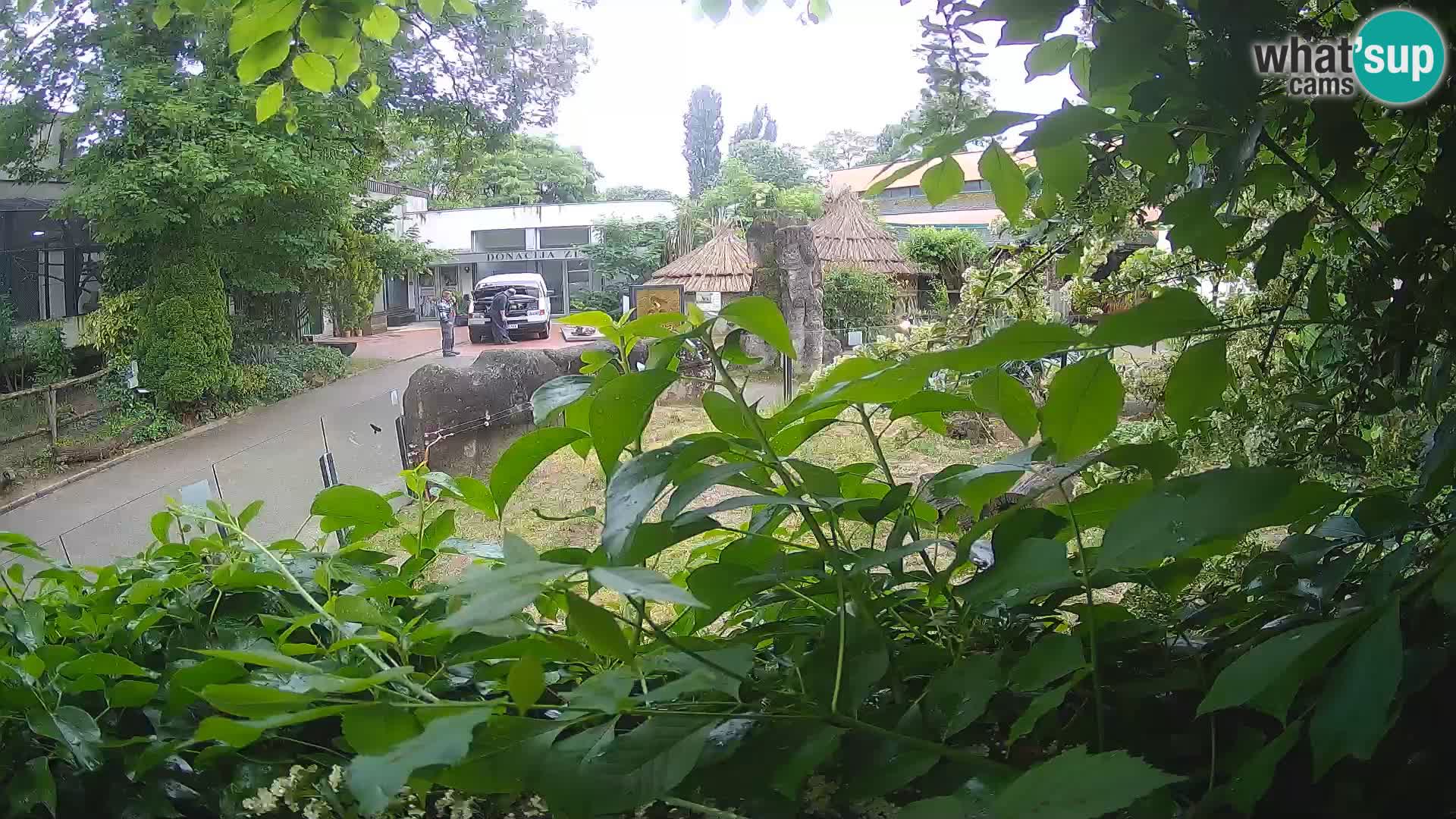 Zoo Zagreb – Erdmännchen