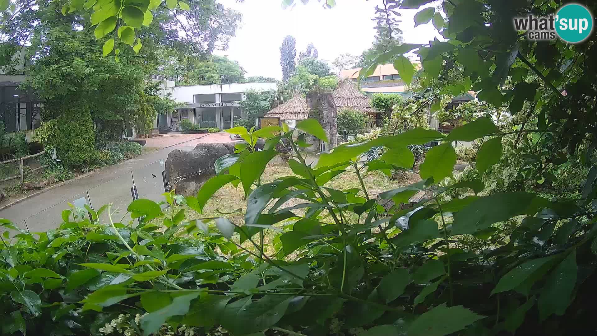 Zoo Zagreb – Erdmännchen