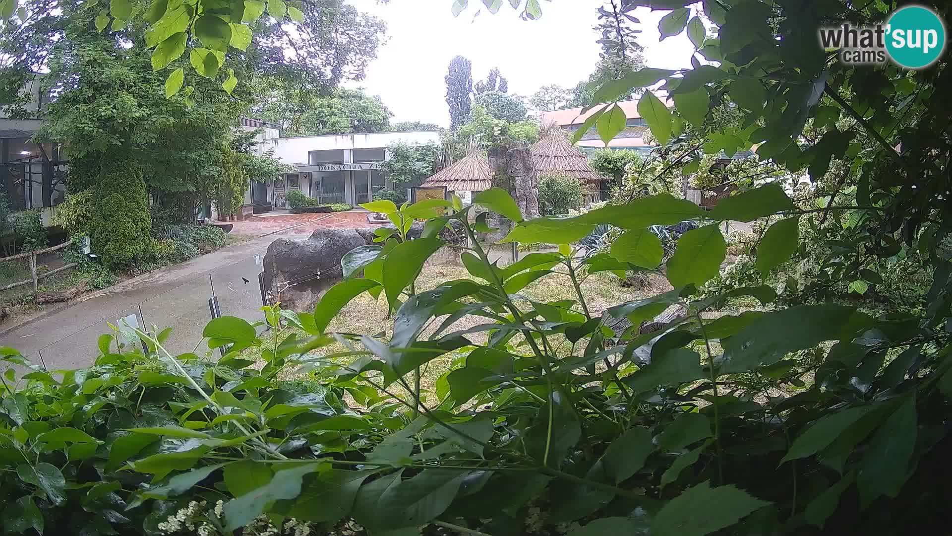 Zoo Zagreb – Erdmännchen