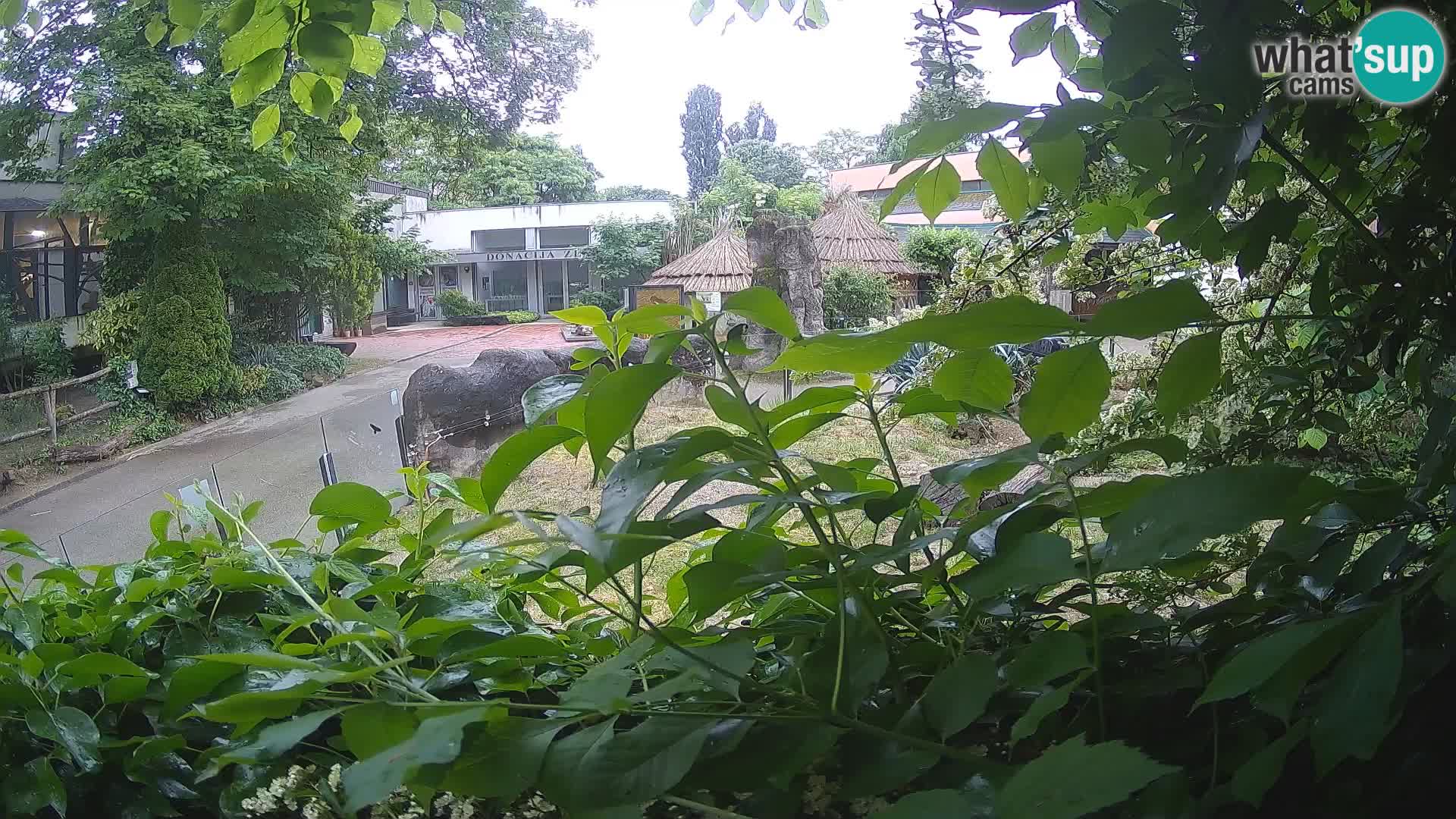 Zoo Zagreb – Erdmännchen