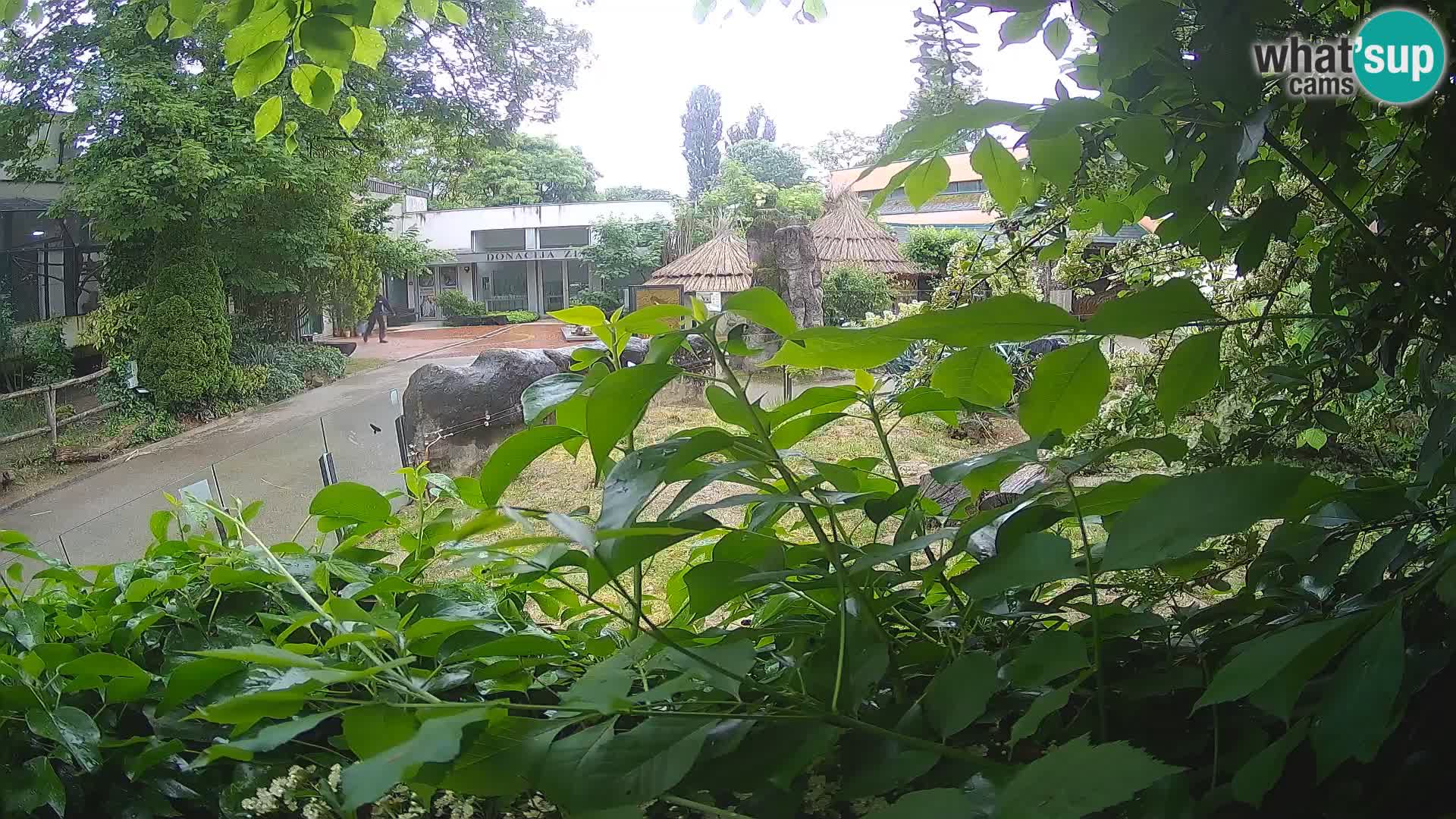 Zoo Zagreb – Erdmännchen