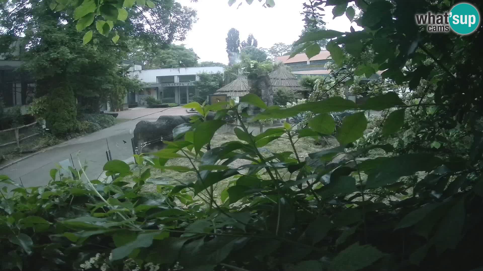 Zoo Zagreb – Erdmännchen