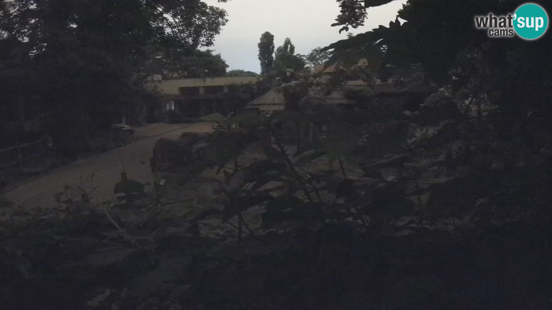 Zoo Zagreb – Surikate