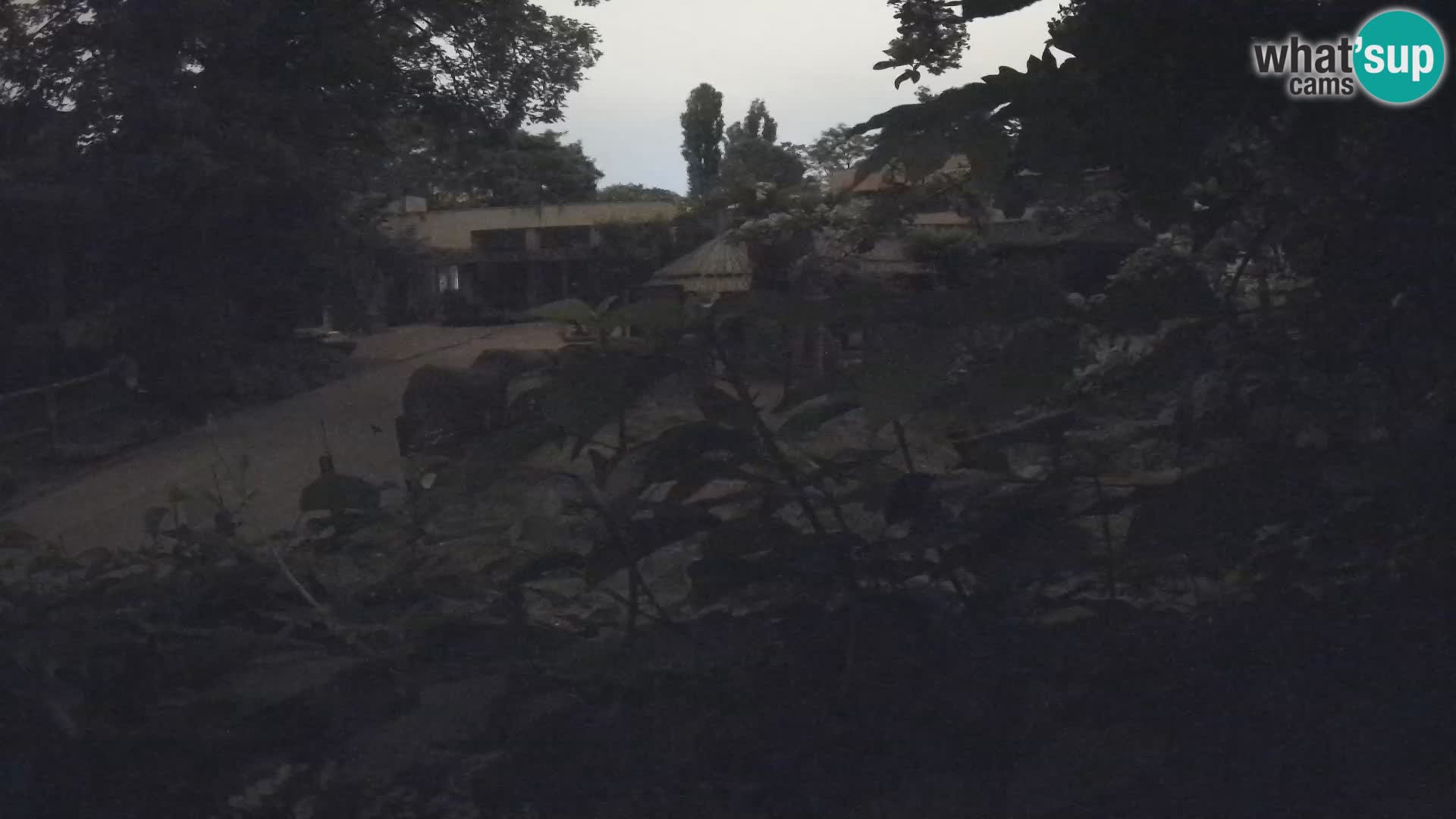 Zoo Zagreb – Erdmännchen