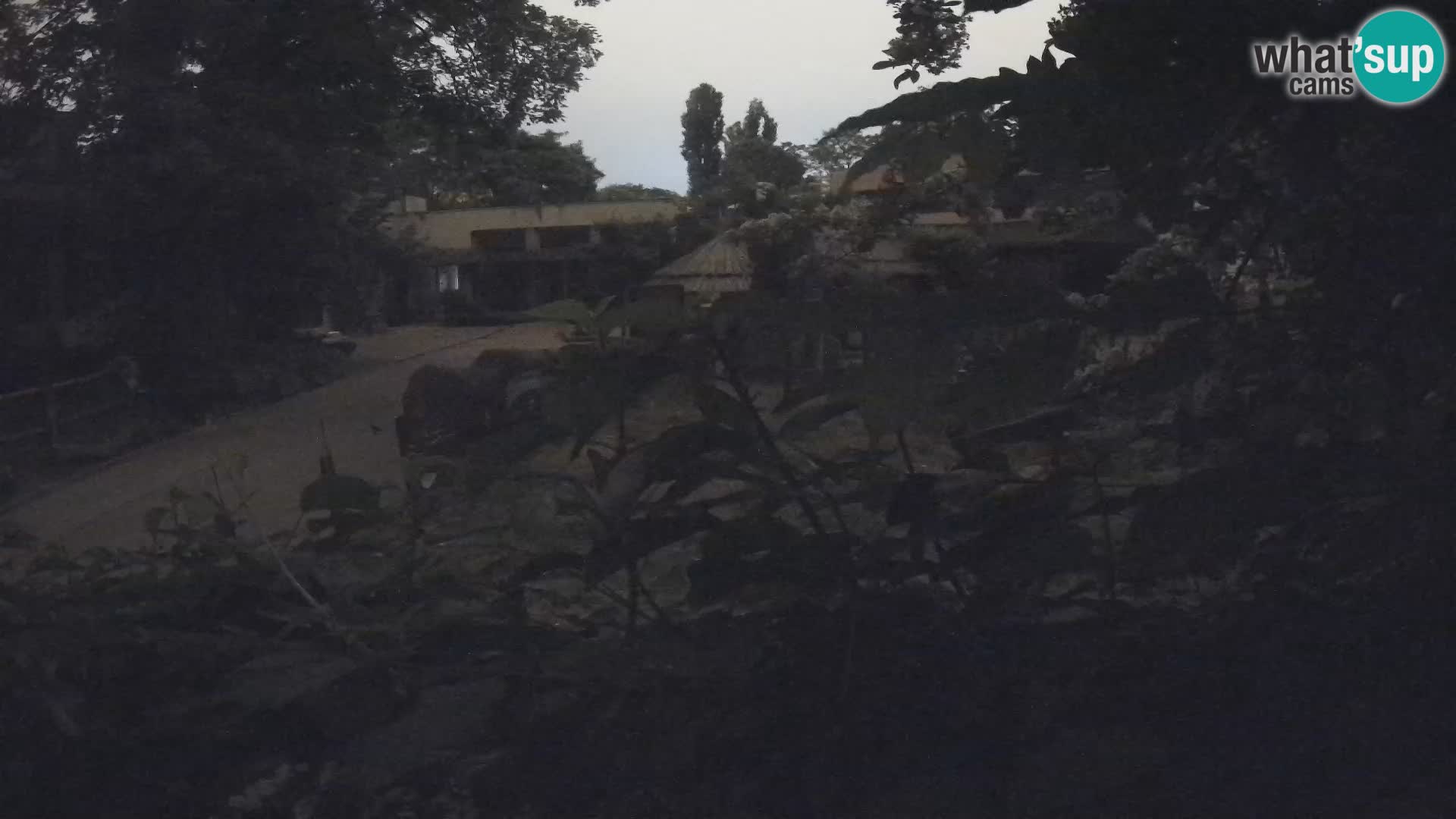 Zoo Zagreb – Surikate