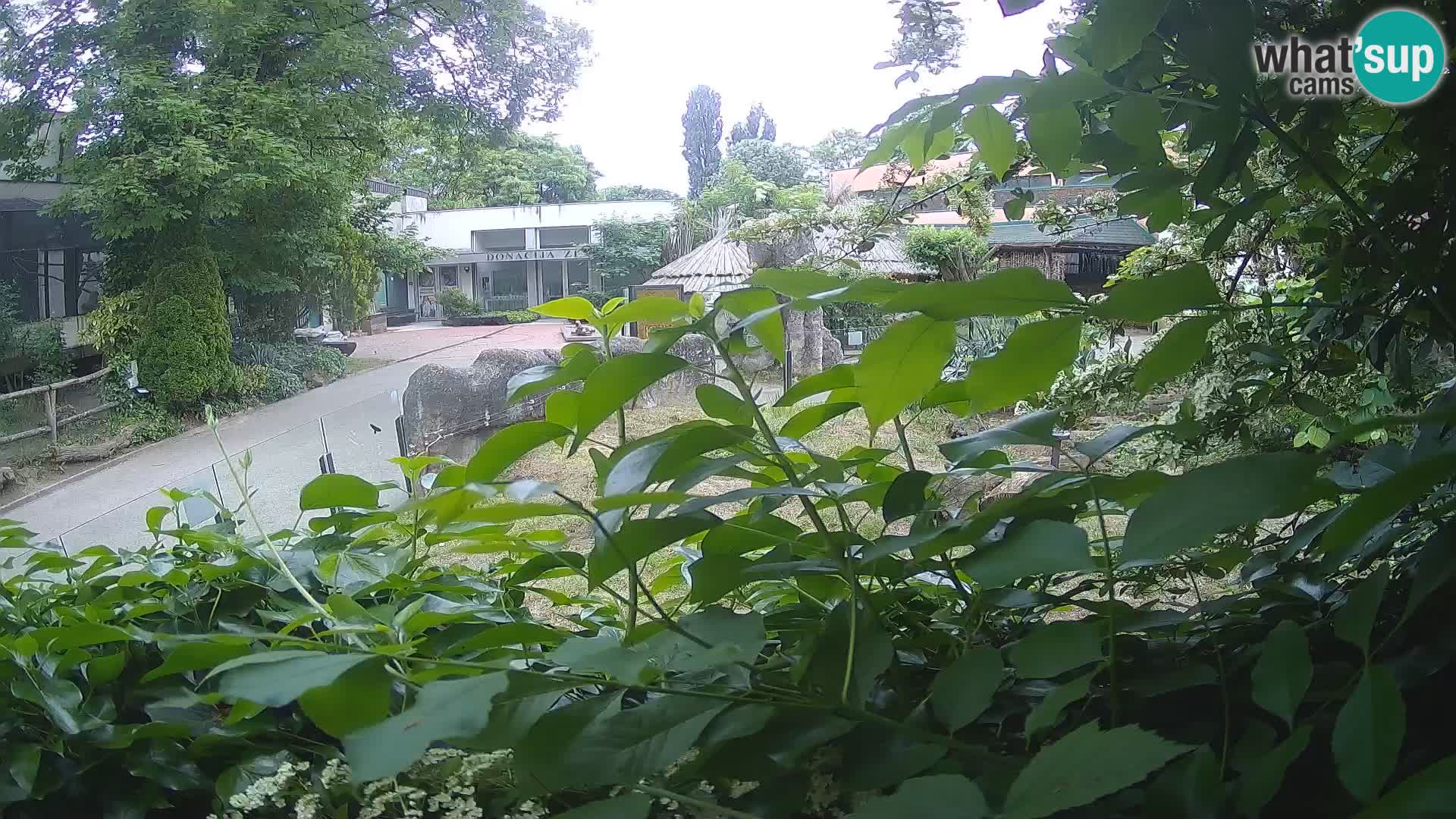 Zoo Zagreb – Erdmännchen